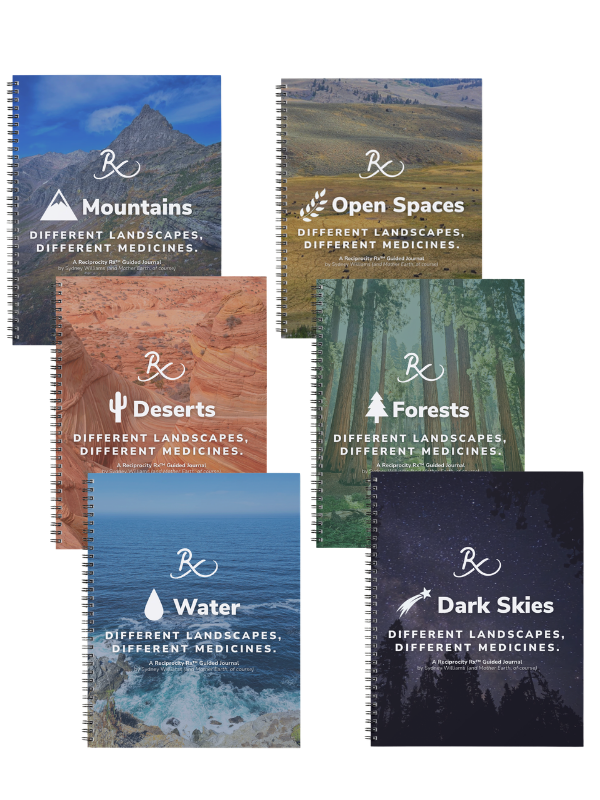 Guided Journal (Printed)