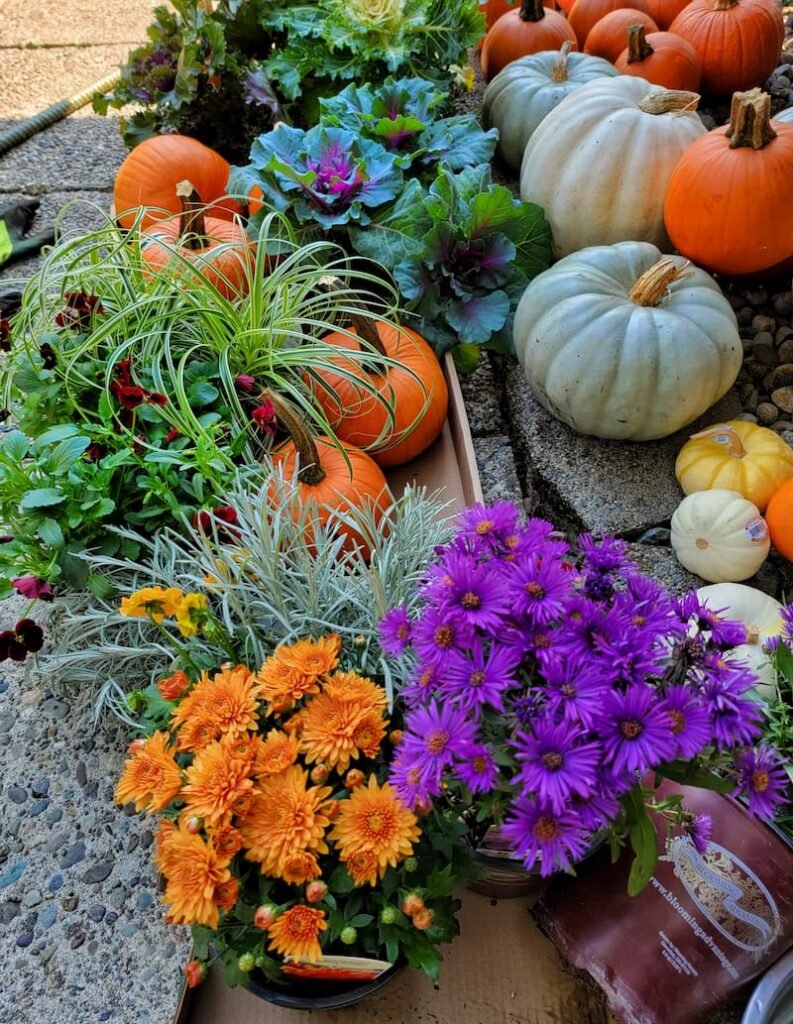 Fall Planter Class