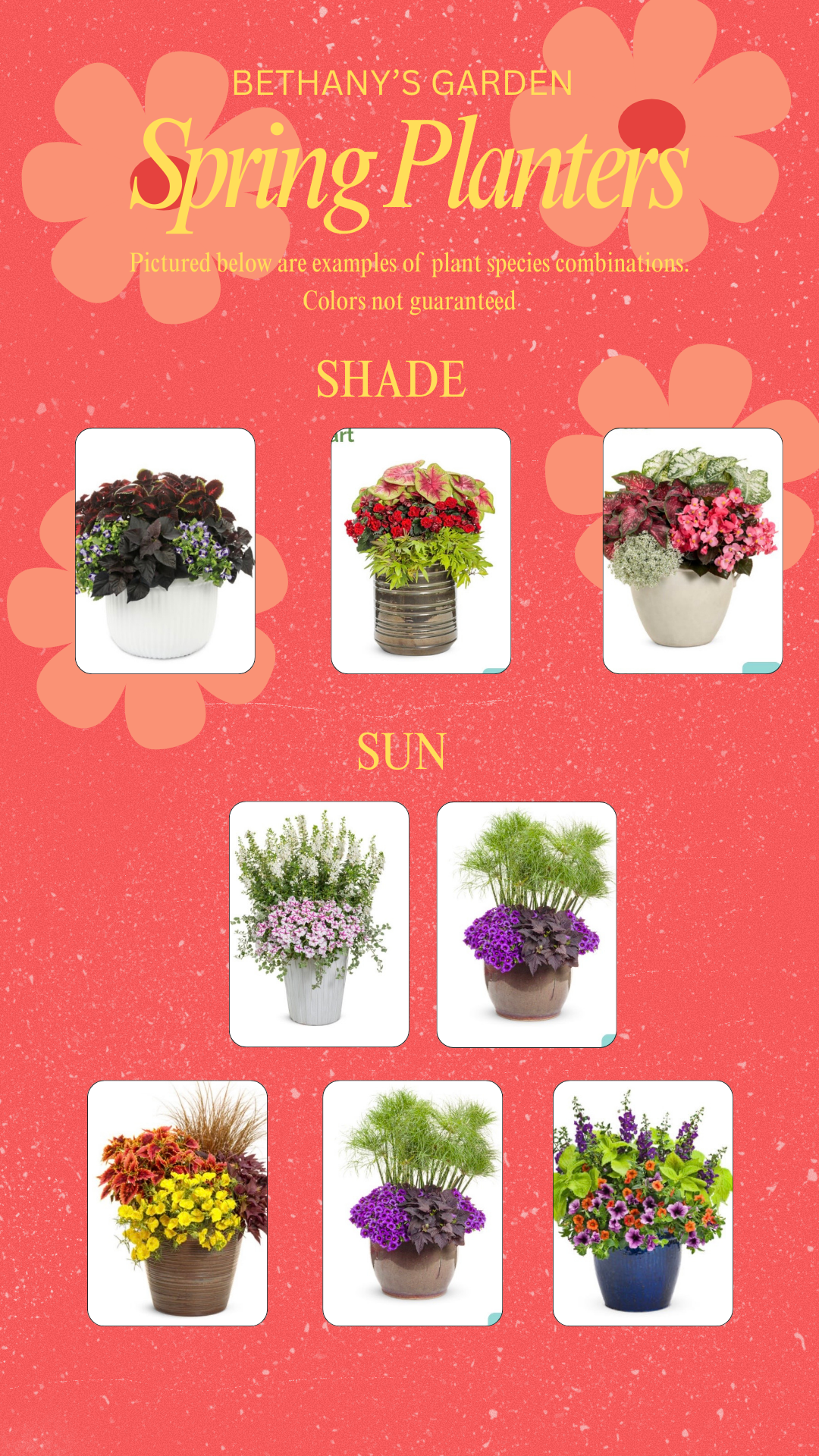 Mother's Day Summer Planter Workshop