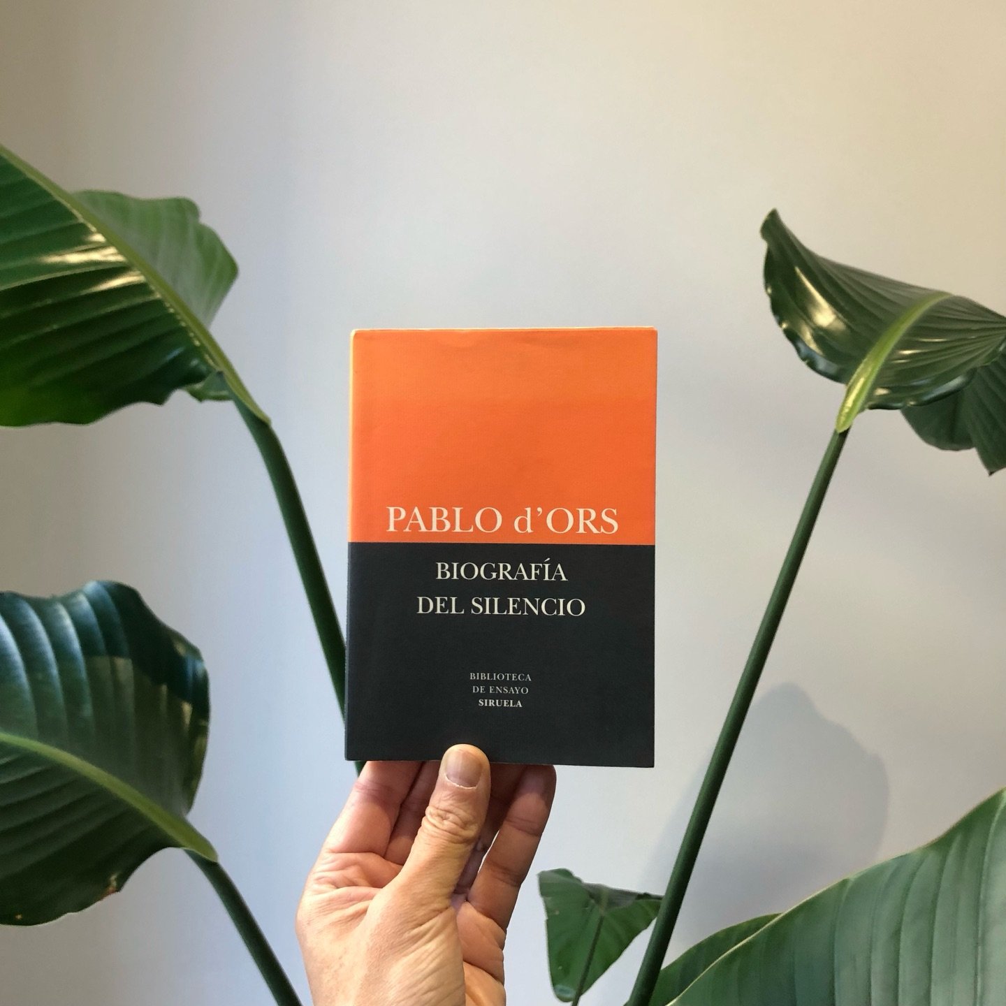 En este extra&ntilde;o tiempo entre Navidad y A&ntilde;o nuevo en el que nadie sabe qu&eacute; d&iacute;a es y qu&eacute; se supone que ha de estar haciendo, te traemos una propuesta: un club de lectura 😎📚
Hemos escogido un peque&ntilde;o pero deli