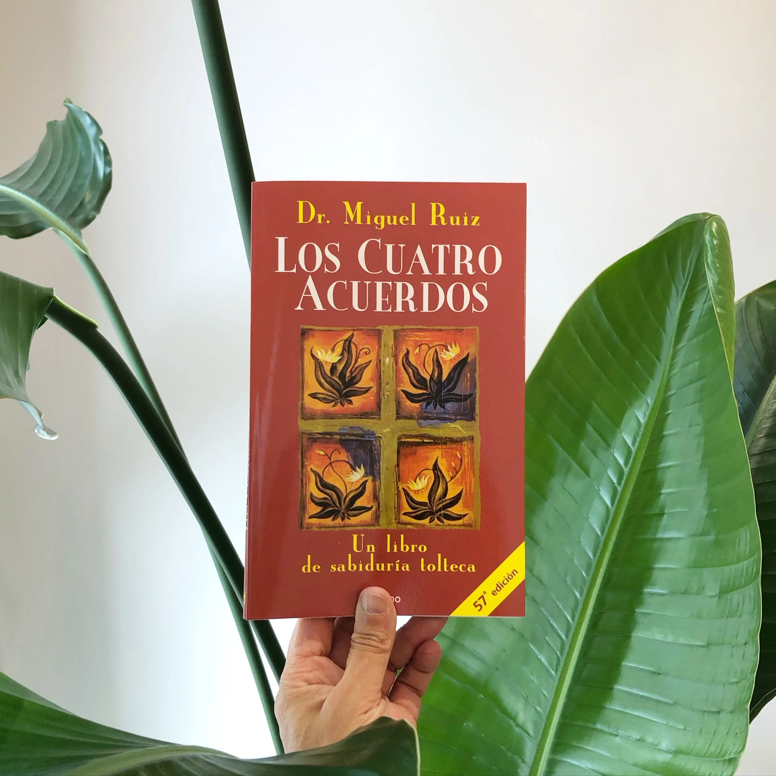 Nos hace mucha ilusi&oacute;n que el club de lectura os interese tanto y teng&aacute;is ganas de repetir, as&iacute; que apuntad el t&iacute;tulo que hemos seleccionado para la pr&oacute;xima edici&oacute;n en noviembre: &ldquo;Los cuatro acuerdos&rd