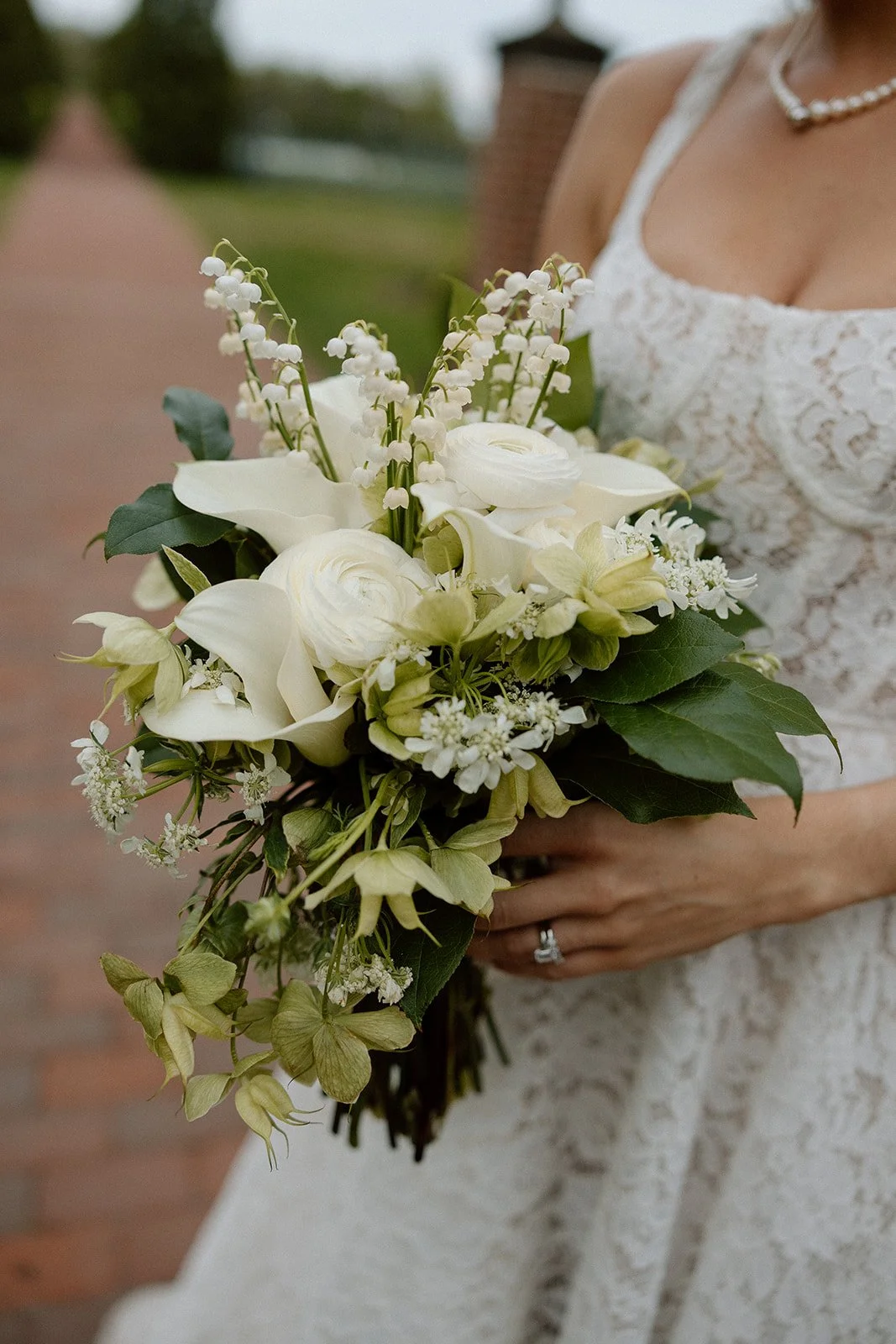 Image - 2025-10-28T185828.826.jpg