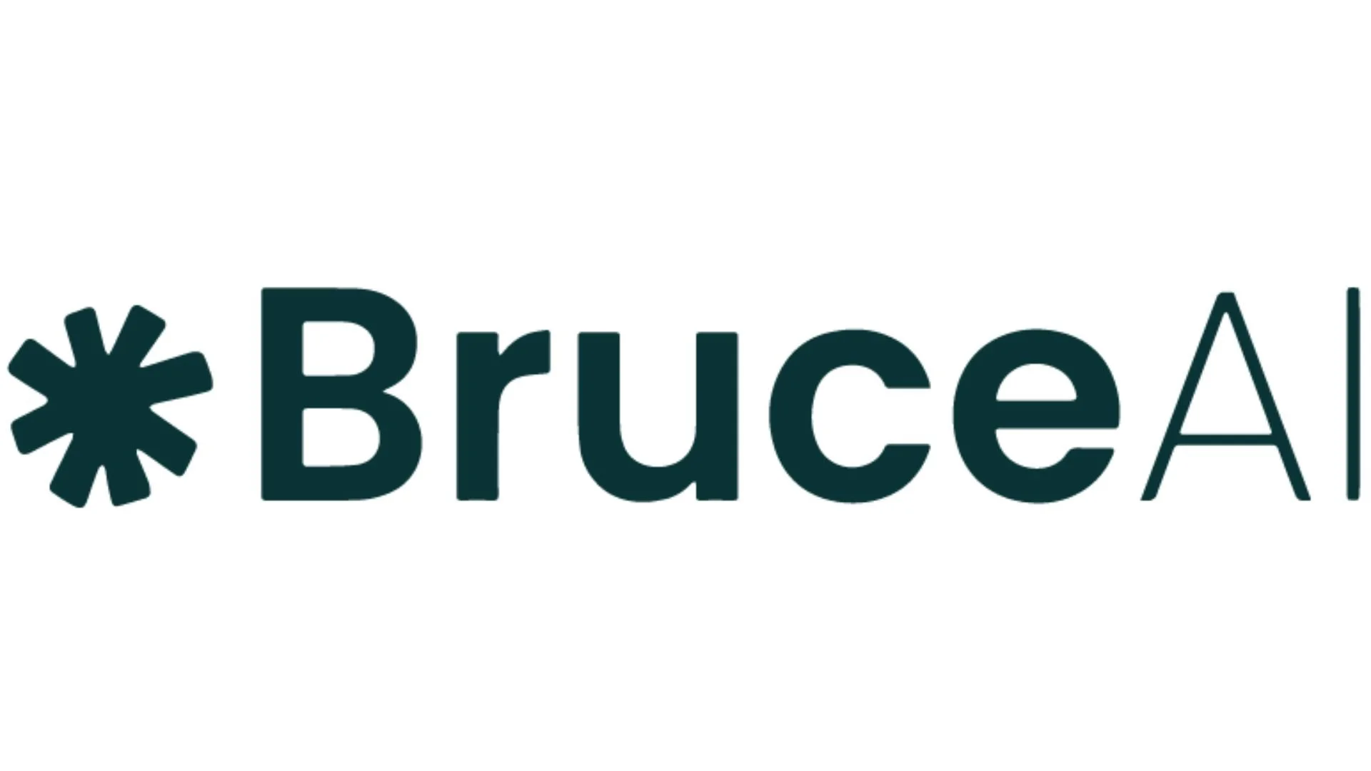 Logo with a star-like asterisk symbol and the text 'BruceAI' in bold font.