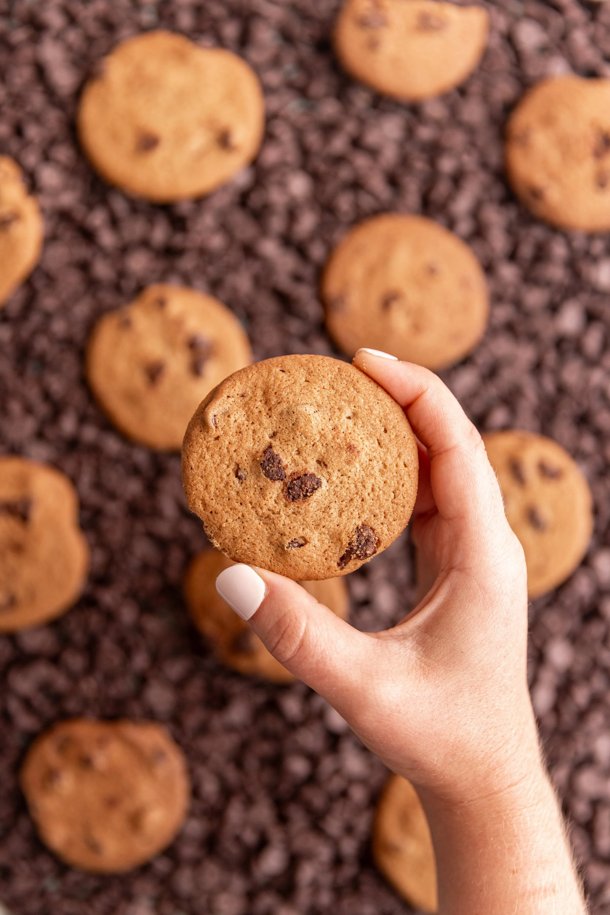 National-Chocolate-Chip-Cookie-Day-4.jpg