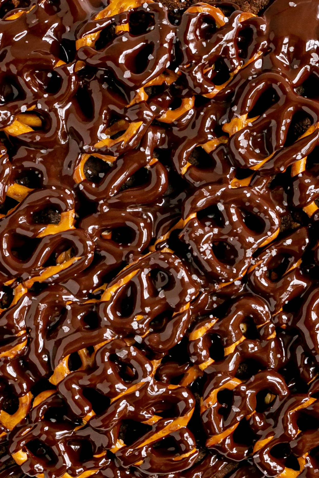 Chocolate-Covered-Pretzels.jpg