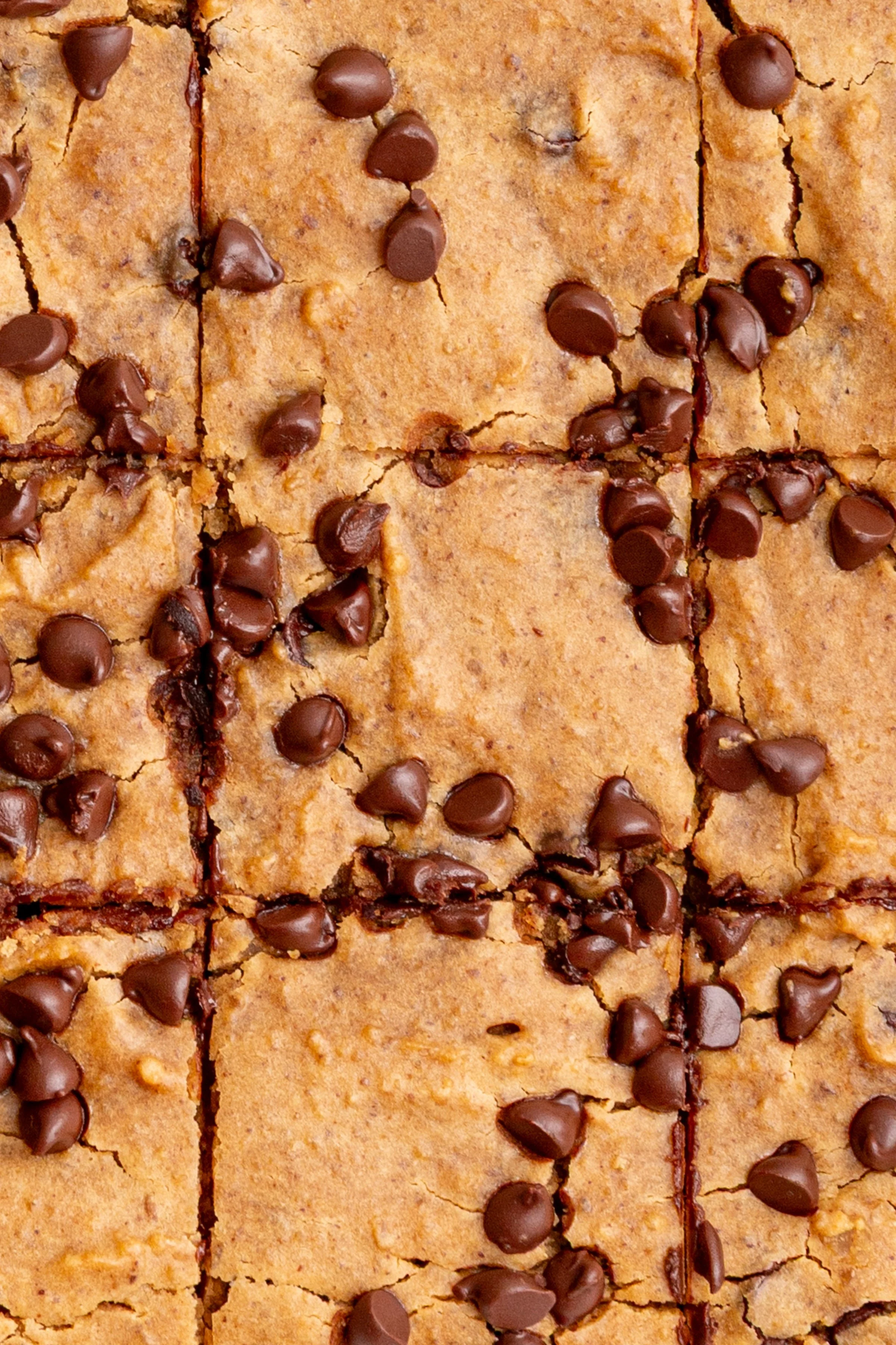 Peanut-Butter-Blondies-3.jpg