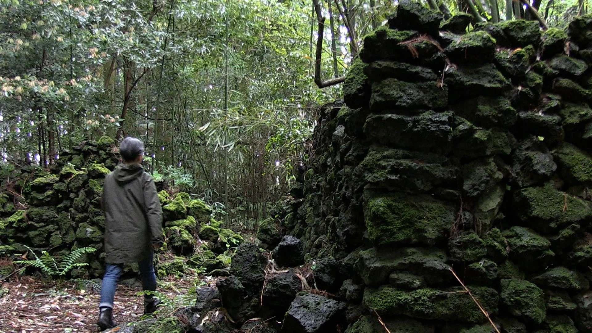 Lost Village- still01.jpg