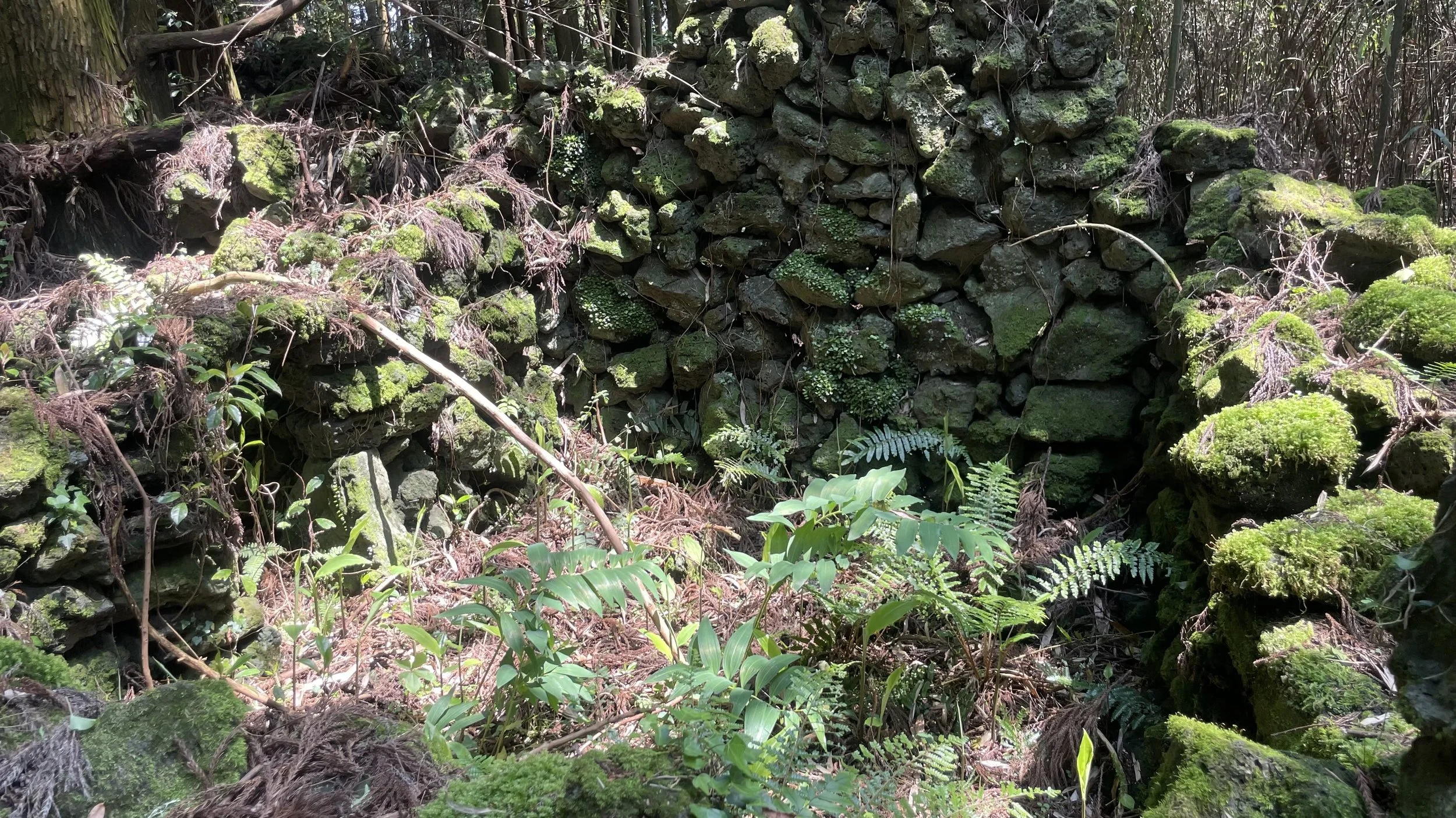 Walls.jpg