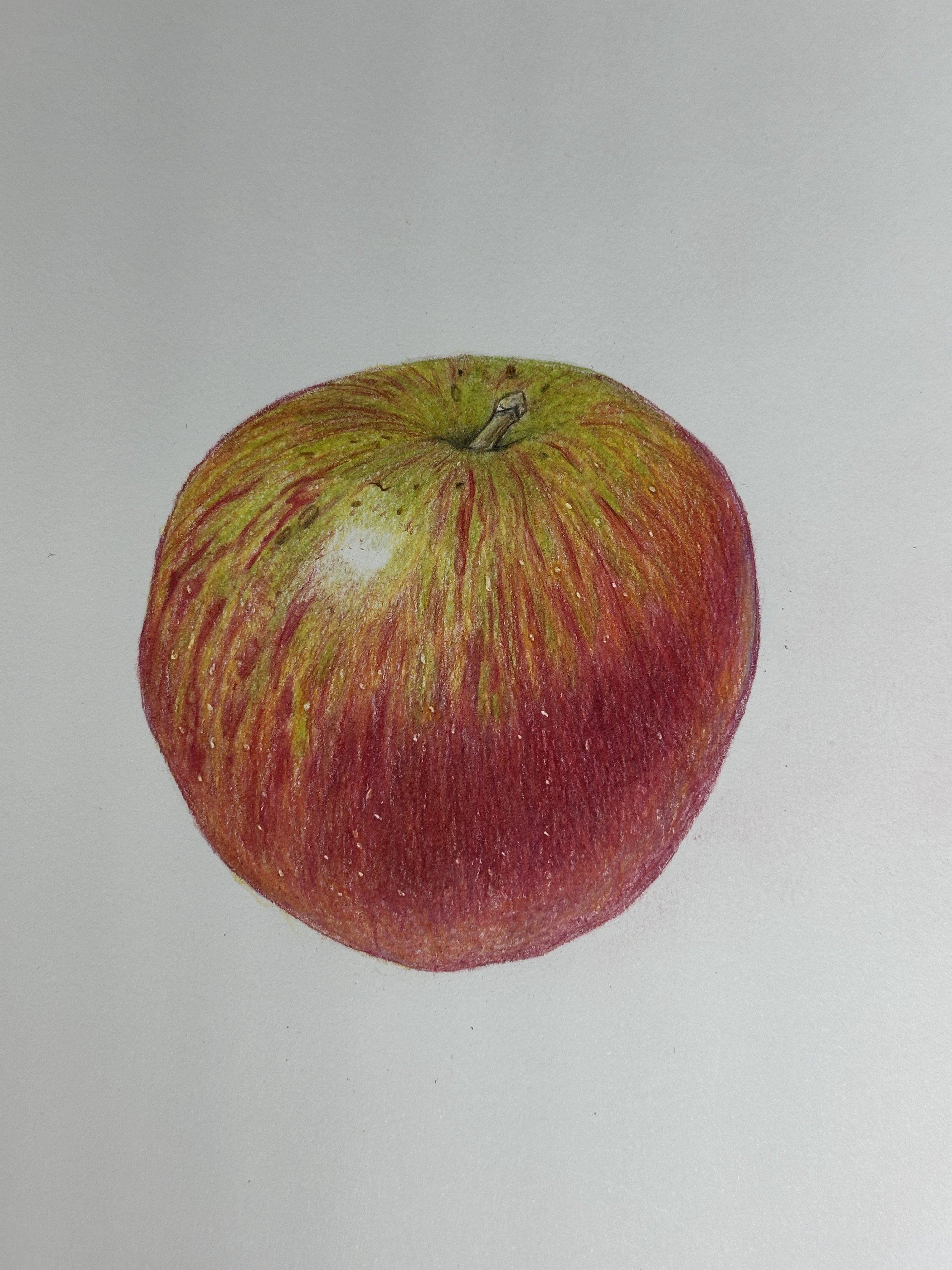 apple in colored pencil