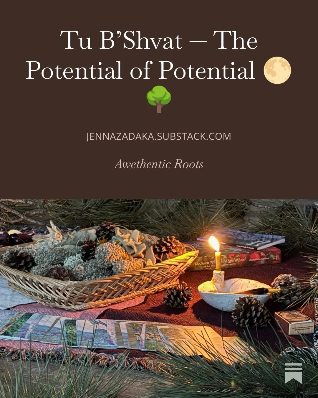 Read my full moonletter for TuBShvat &amp; How to support families in Minnesota right now. Full read on email &amp; substack. 

In the earth-based Hebrew Calendar (designed with divine intelligence) we celebrate four New Years. One of them is TuB&rsq