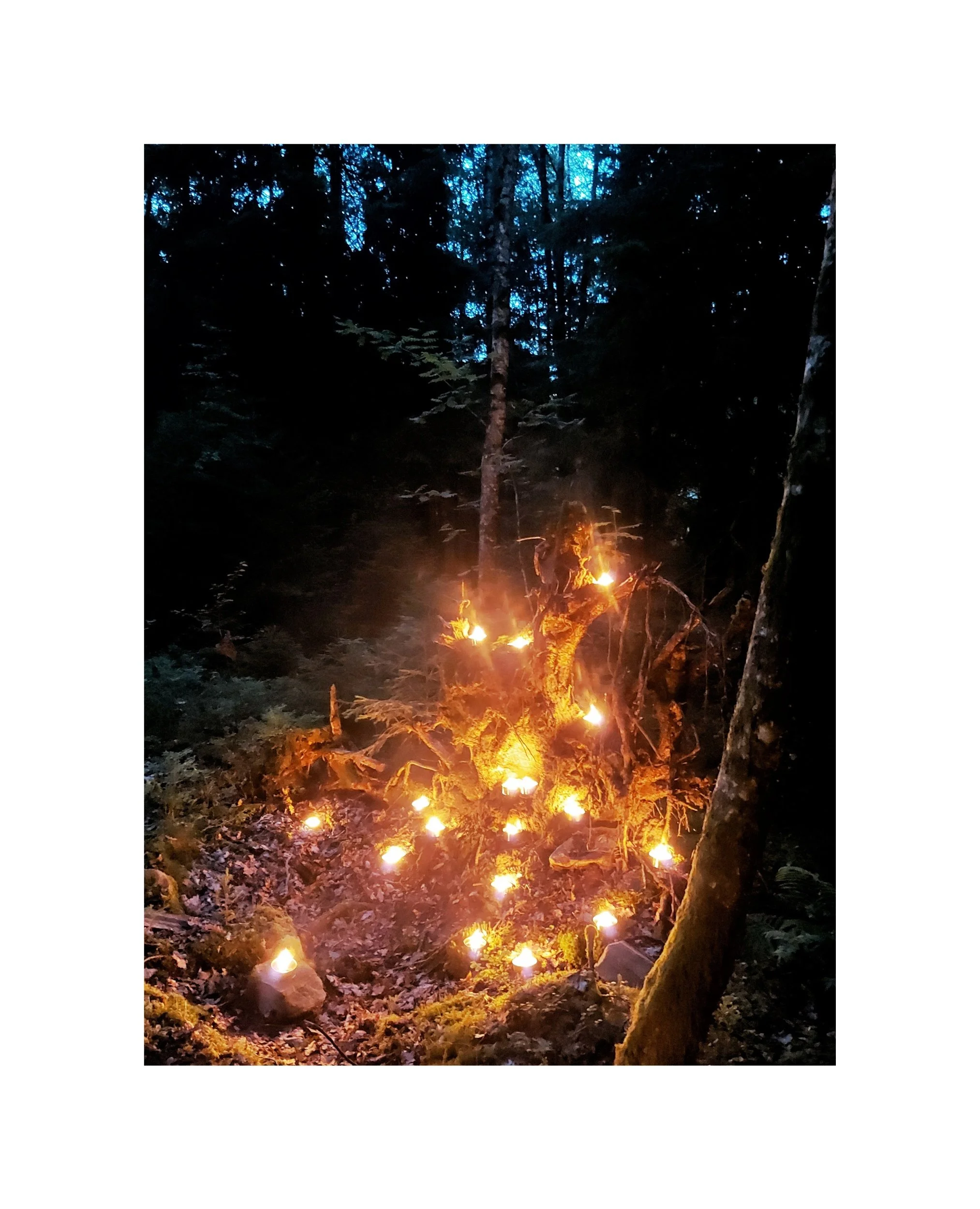 FormInkognito_sommar 2025_Ljusspår.jpg