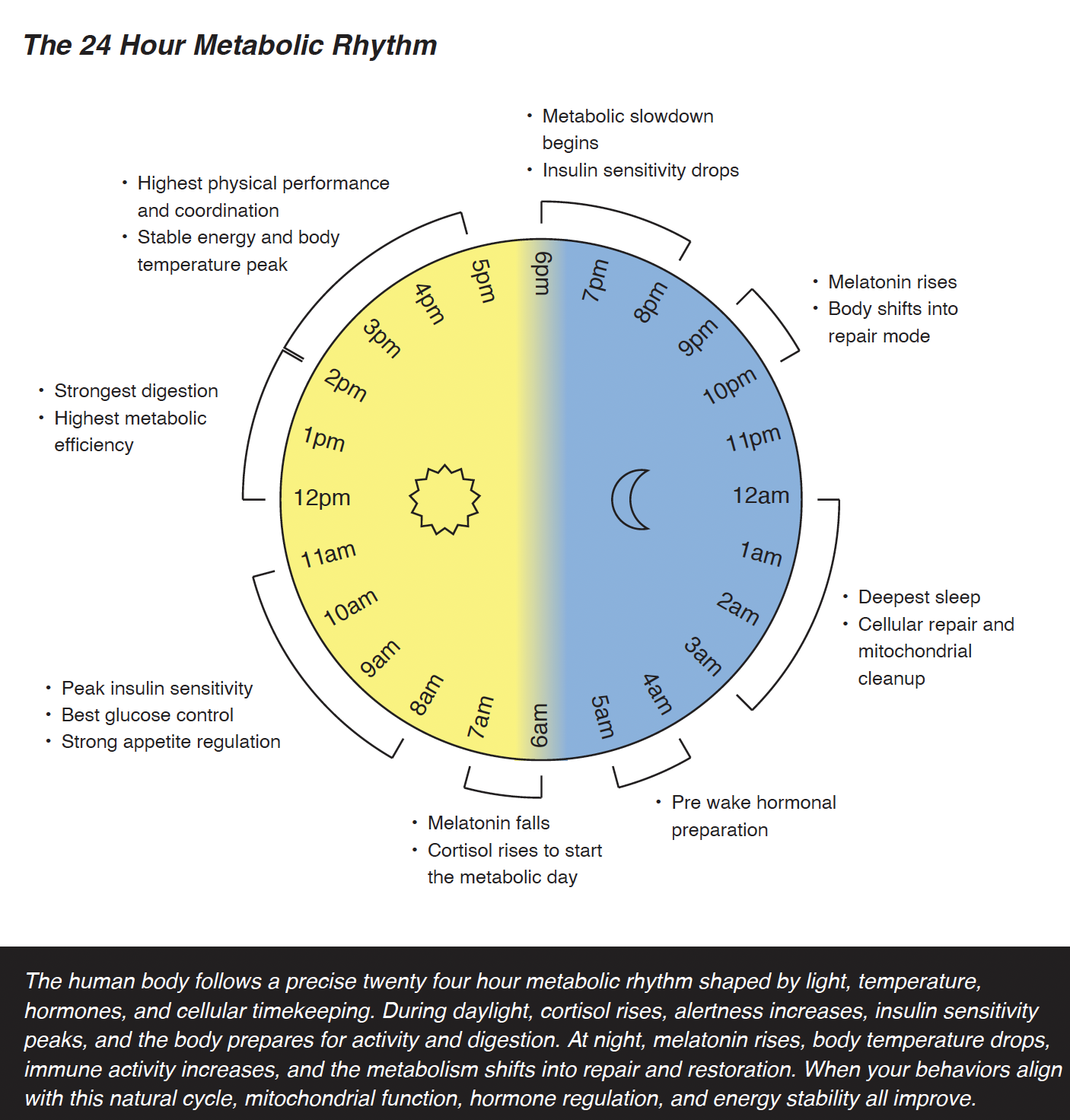 Screenshot 2026-01-12 at 8.01.31 AM.png