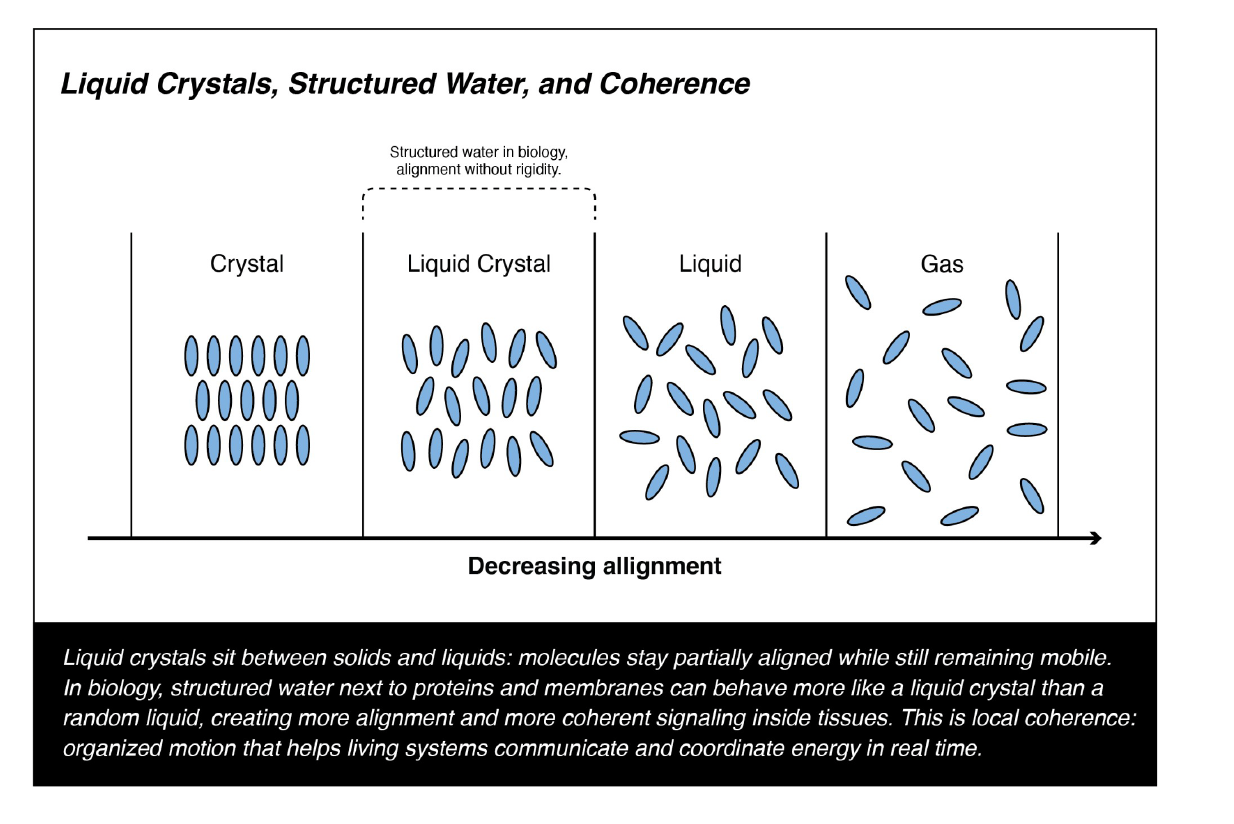 Screenshot 2026-03-07 at 3.07.13 AM.png