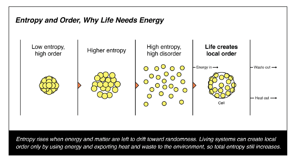 Screenshot 2026-03-07 at 3.06.59 AM.png