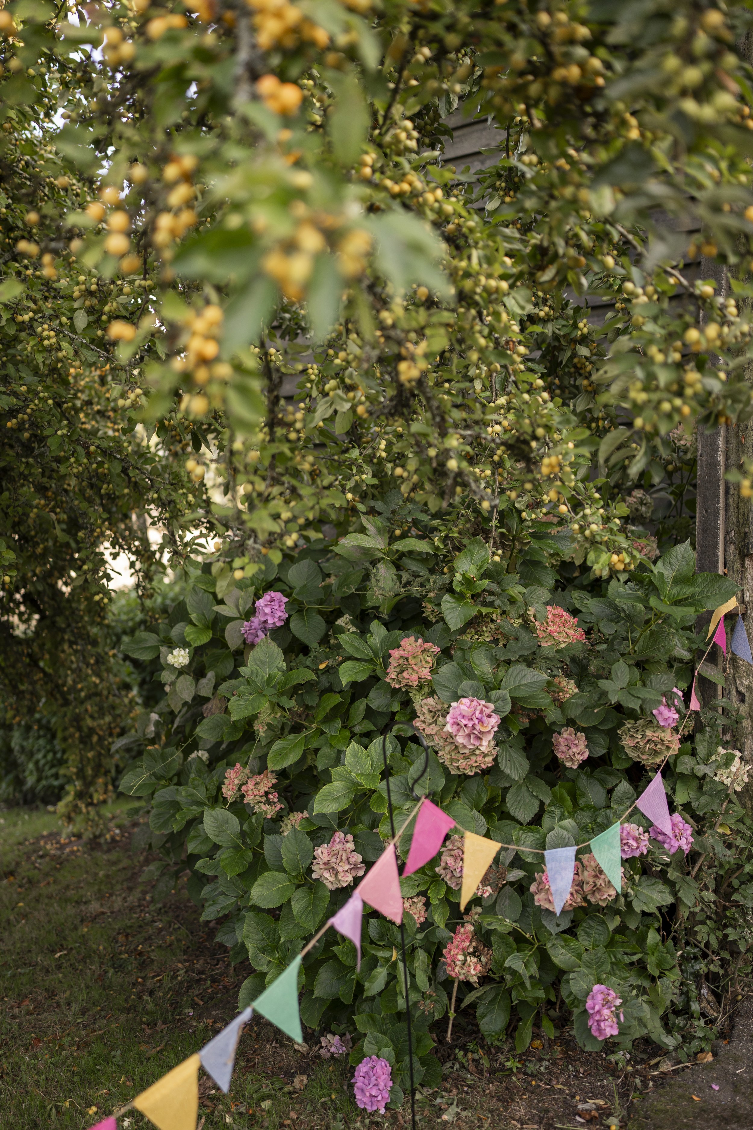 Garden Wedding