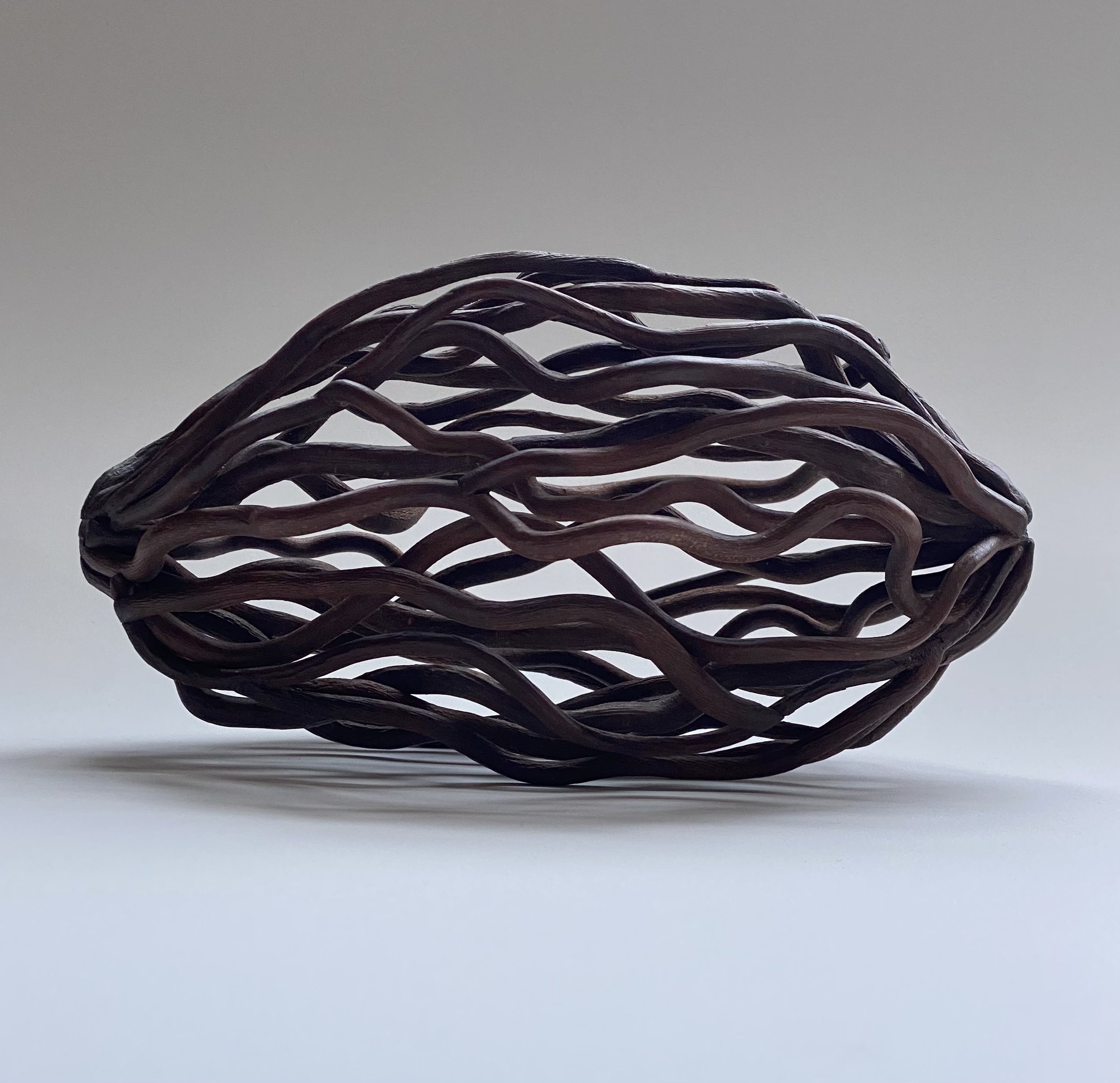 "Pod #5," Walking Stick
