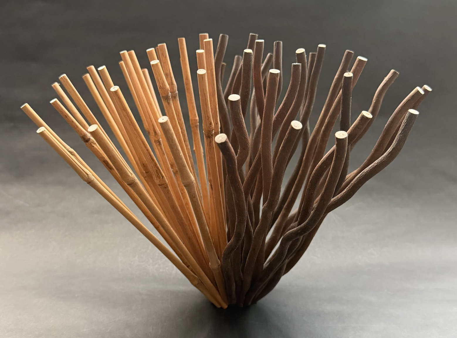 "Opening #2," Bamboo and Curly Willow