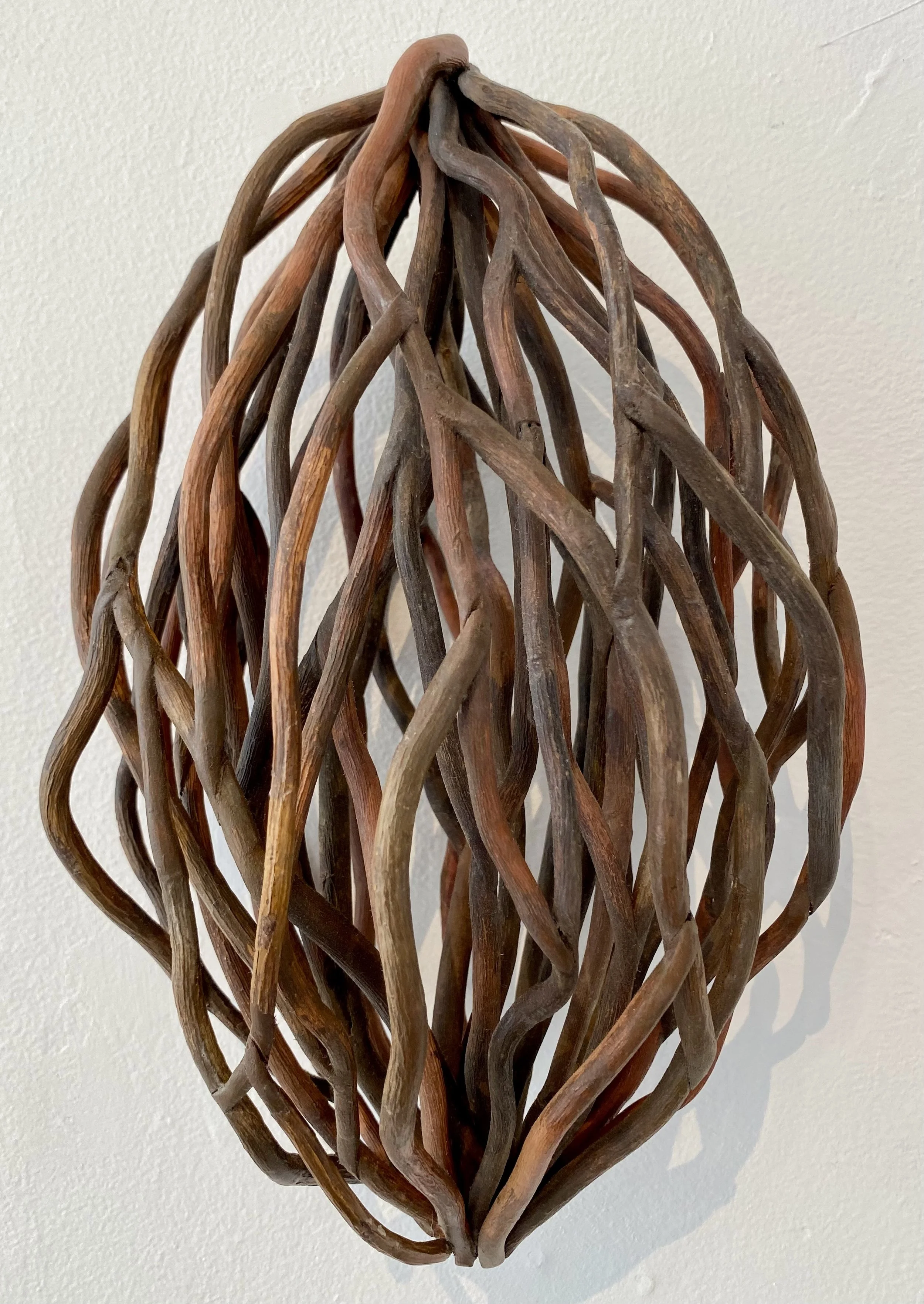 "Pod #4," Curly Willow