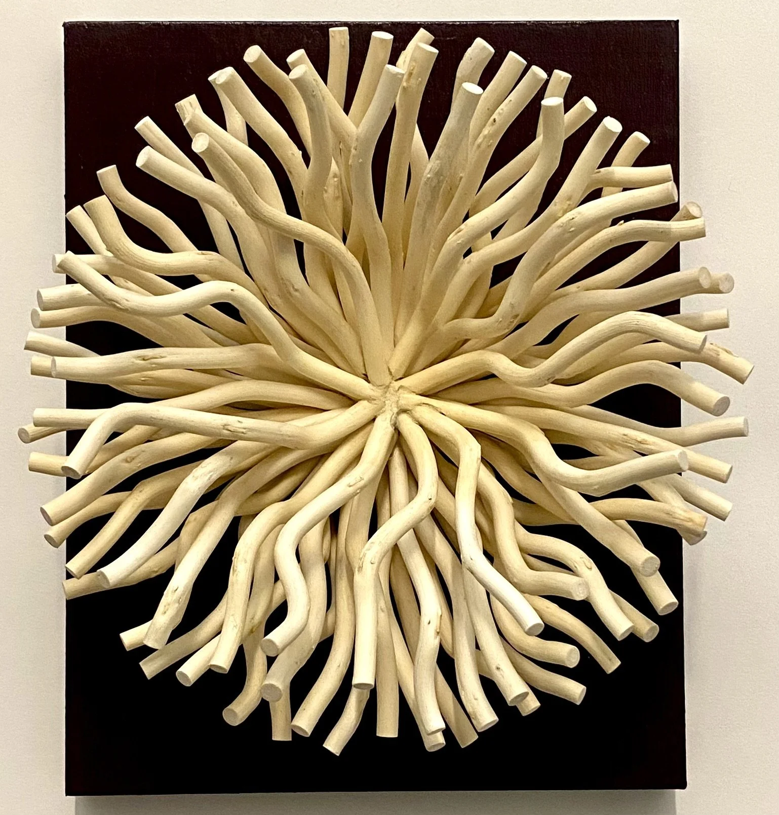 "A Flower for Mom," Bleached Corkscrew Willow