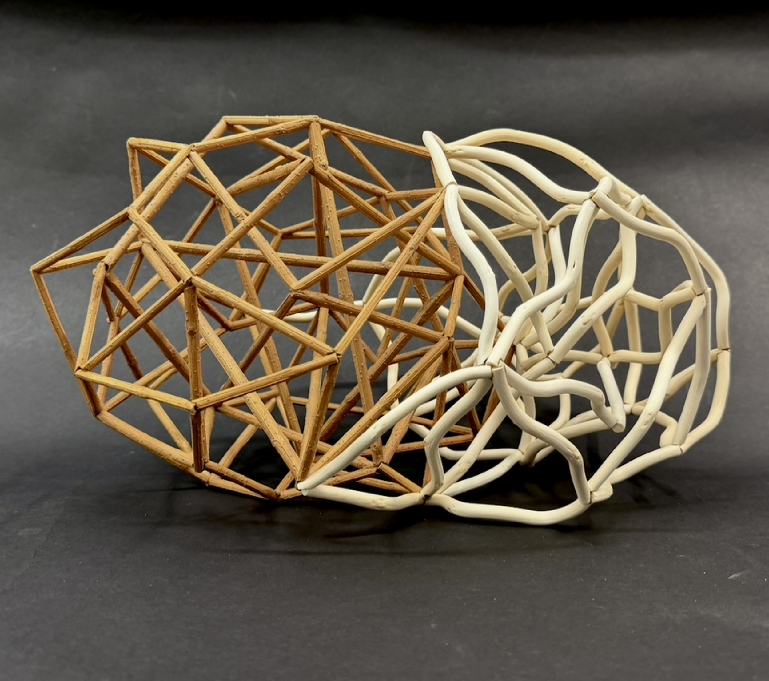 "Cosmos #2," Forsythia and Corkscrew Willow