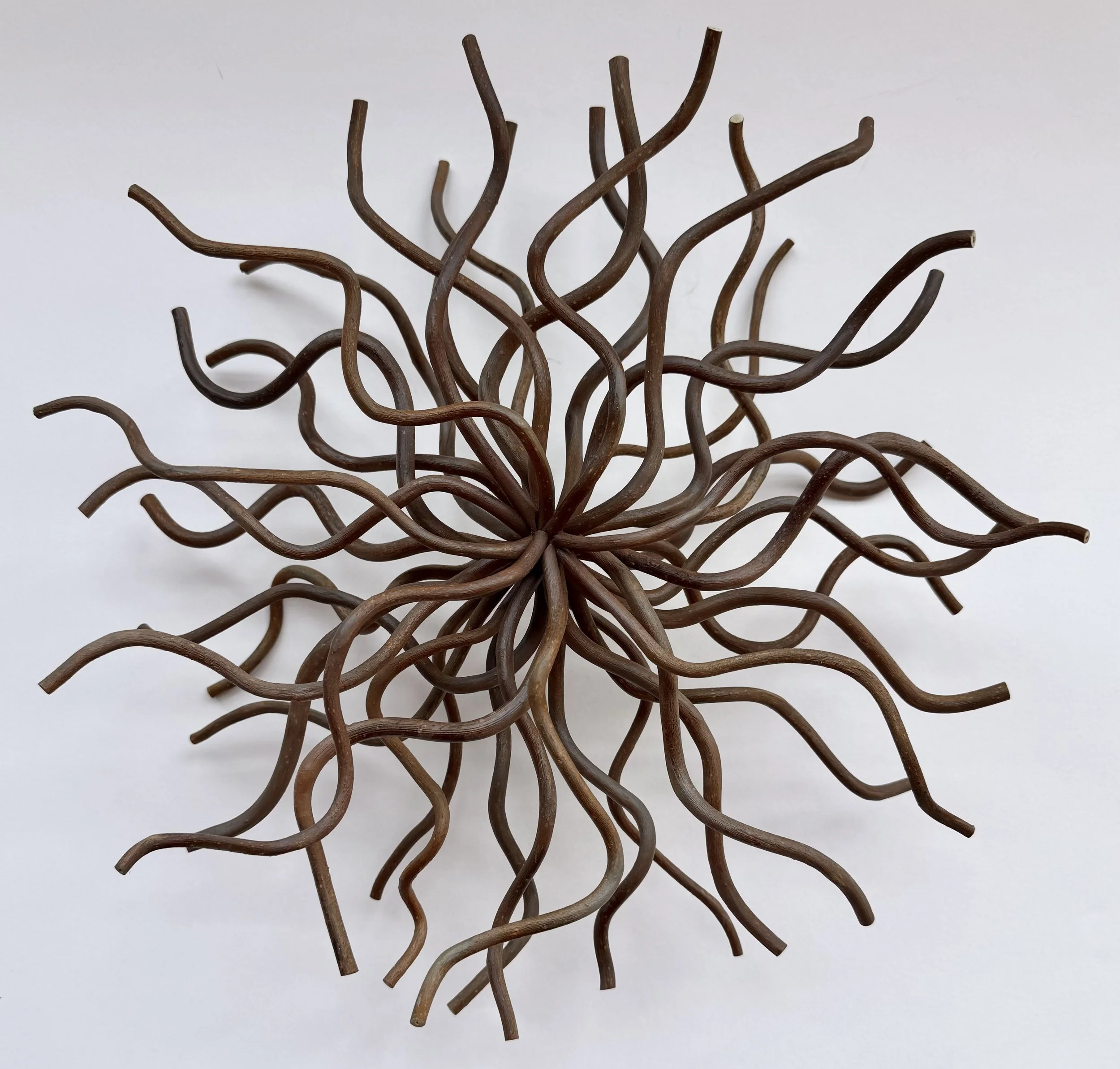 "Origin #6," Walking Stick