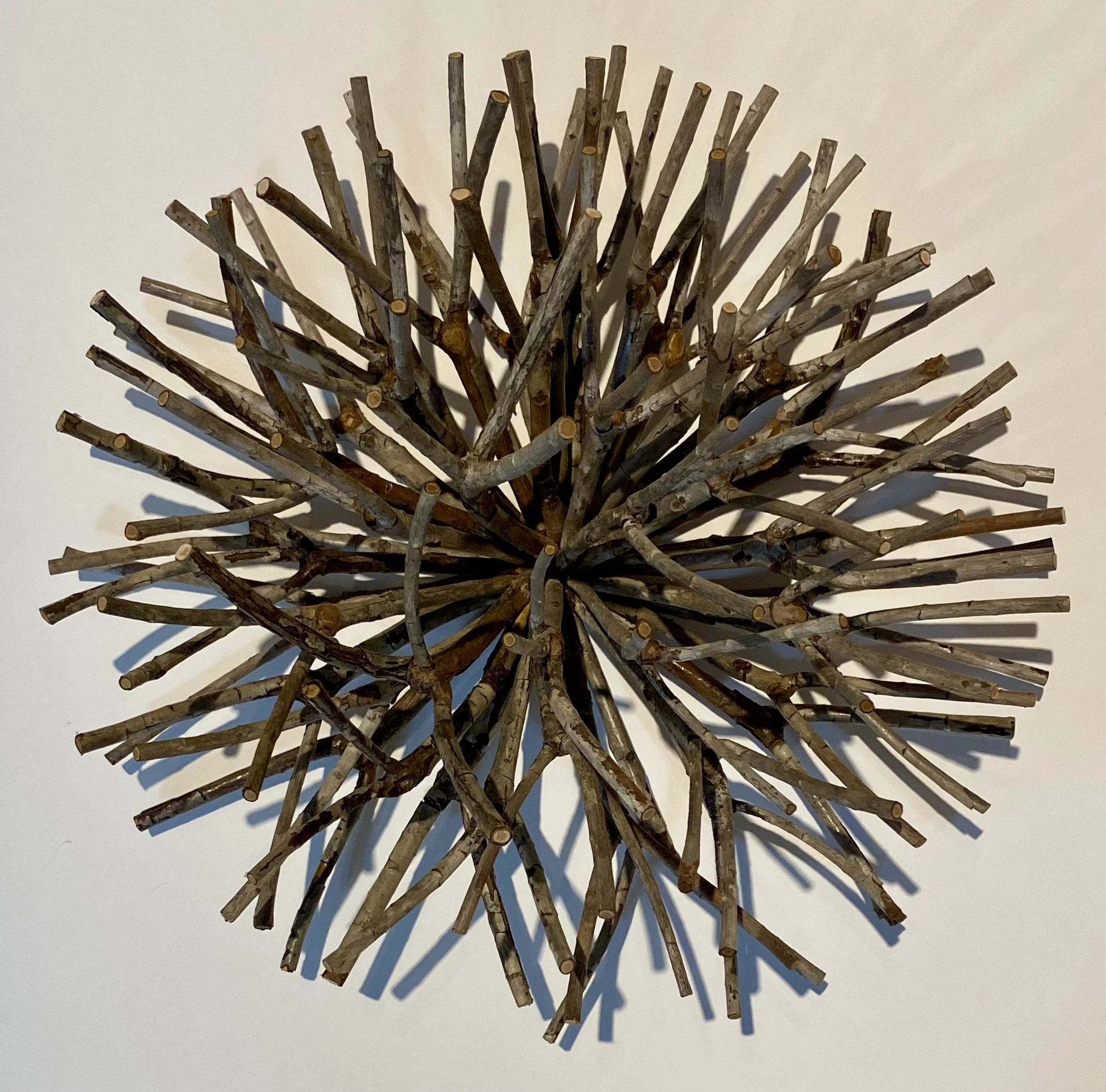 "Burst #8," Rhododendron