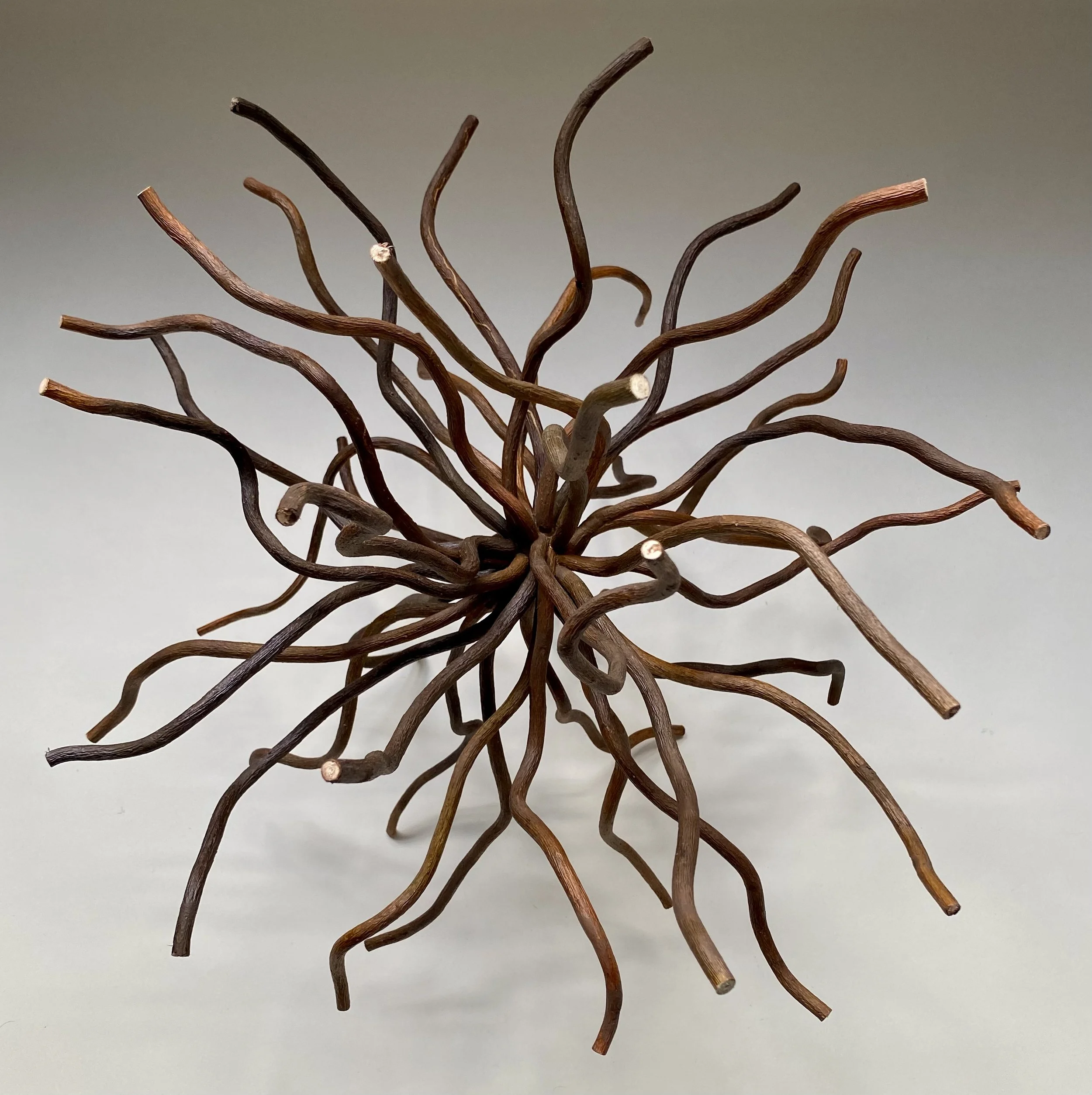"Creation #2," Curly Willow