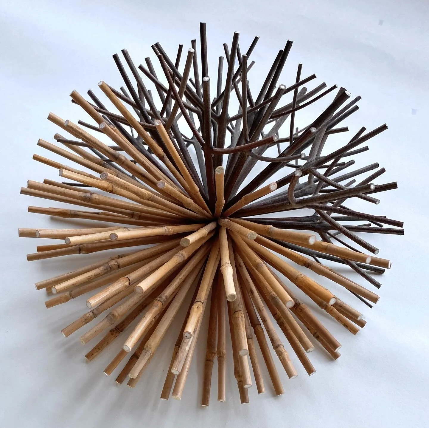 "Juxtaposition," Bamboo and Chaste Tree