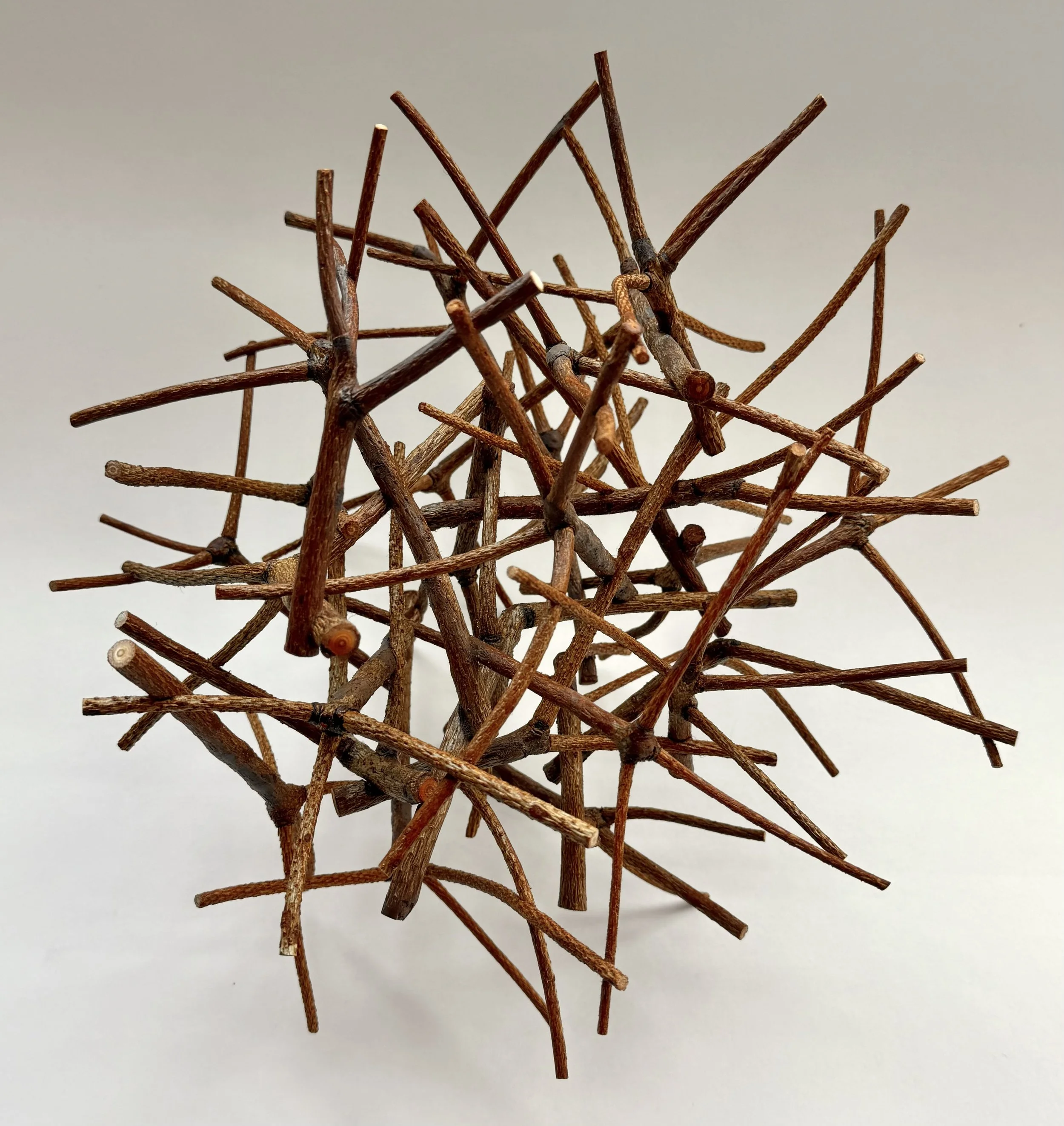 "Cluster #3," Pine
