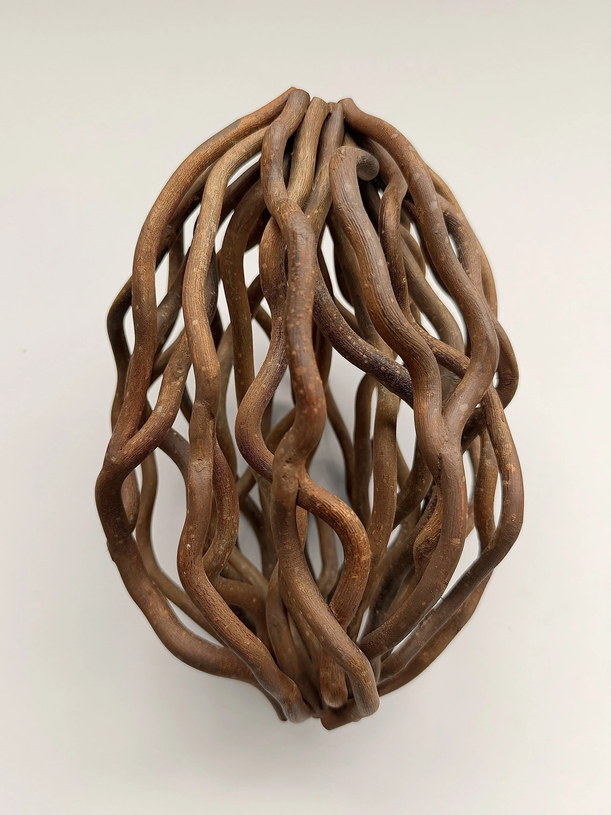 "Union #4," Walking Stick
