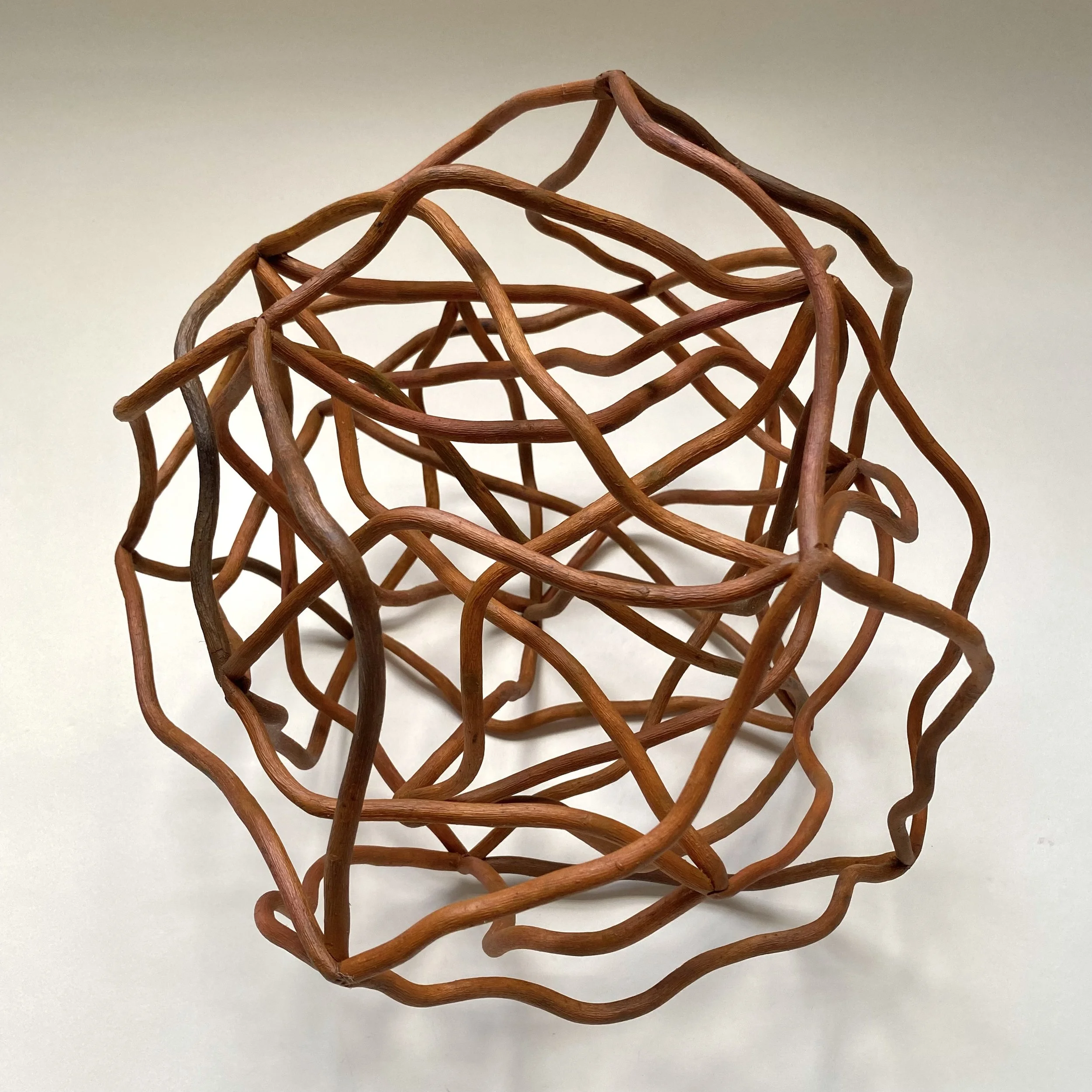 "Web of Life," Curly Willow