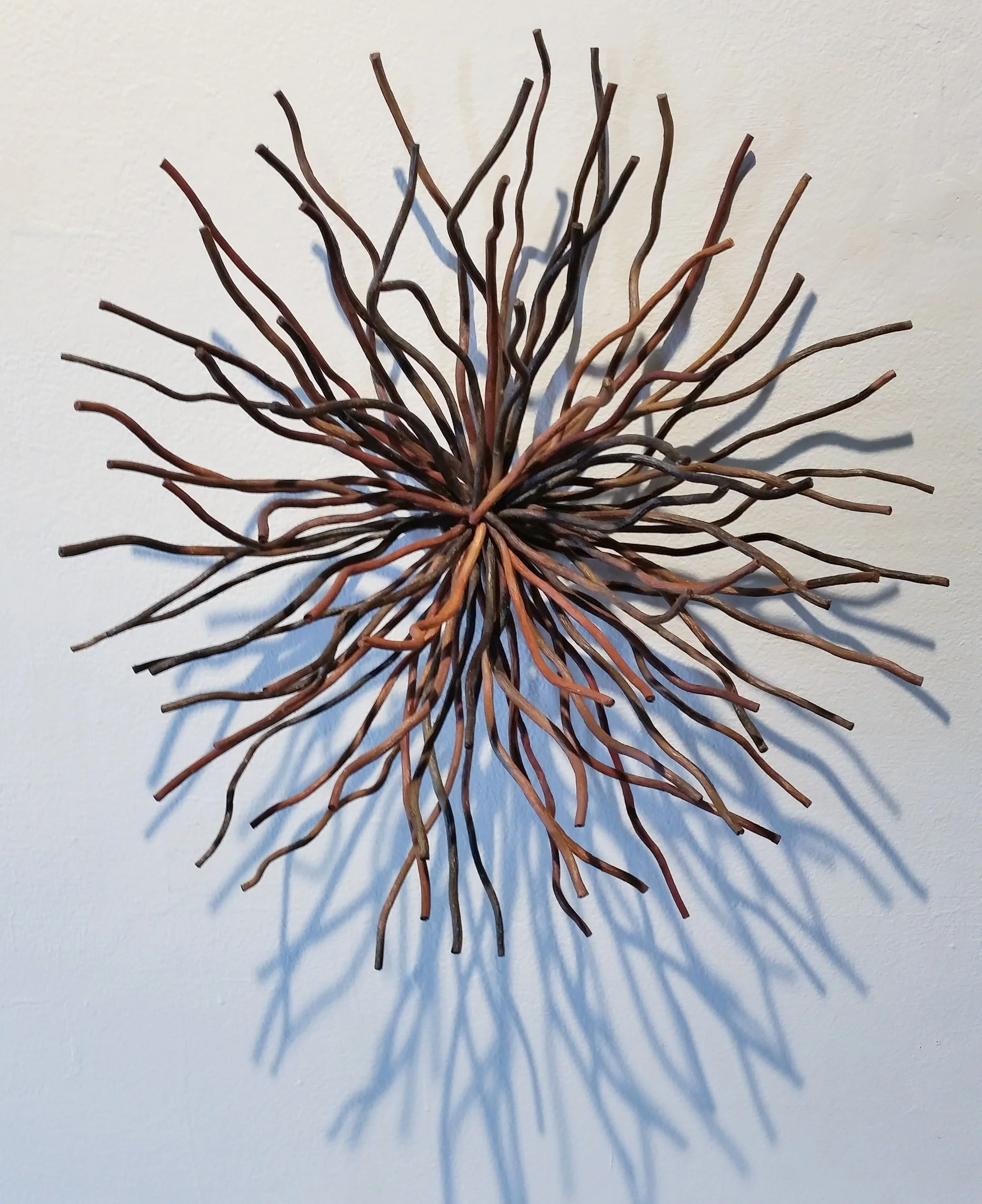“Emergence,” Curly Willow