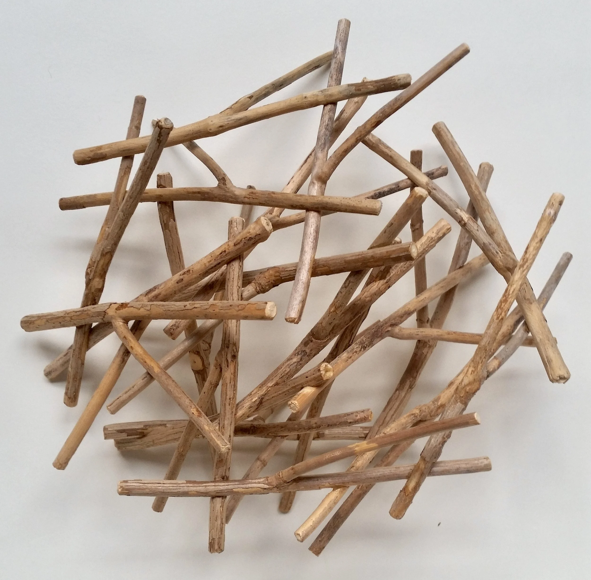 "Cluster #5," Hydrangea