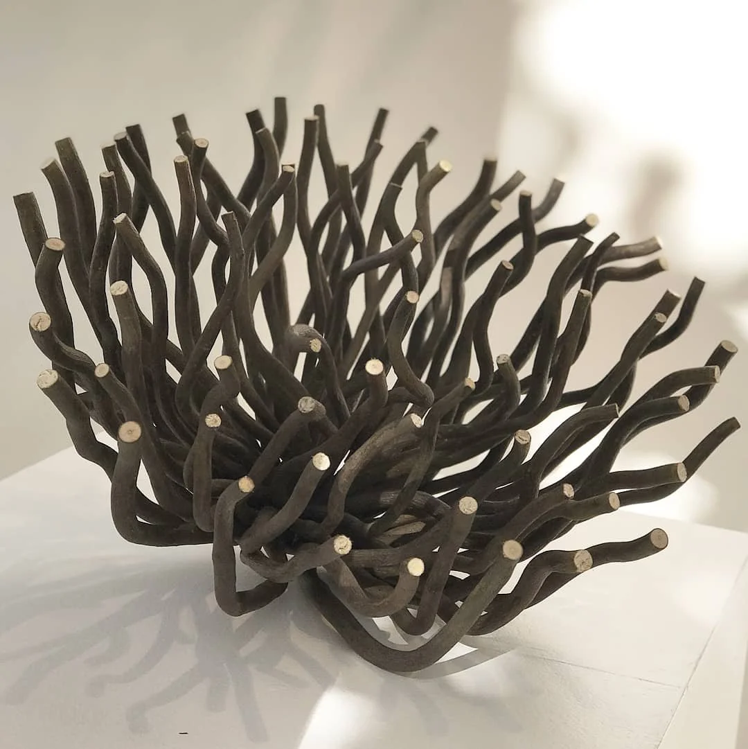 "Opening," Curly Willow