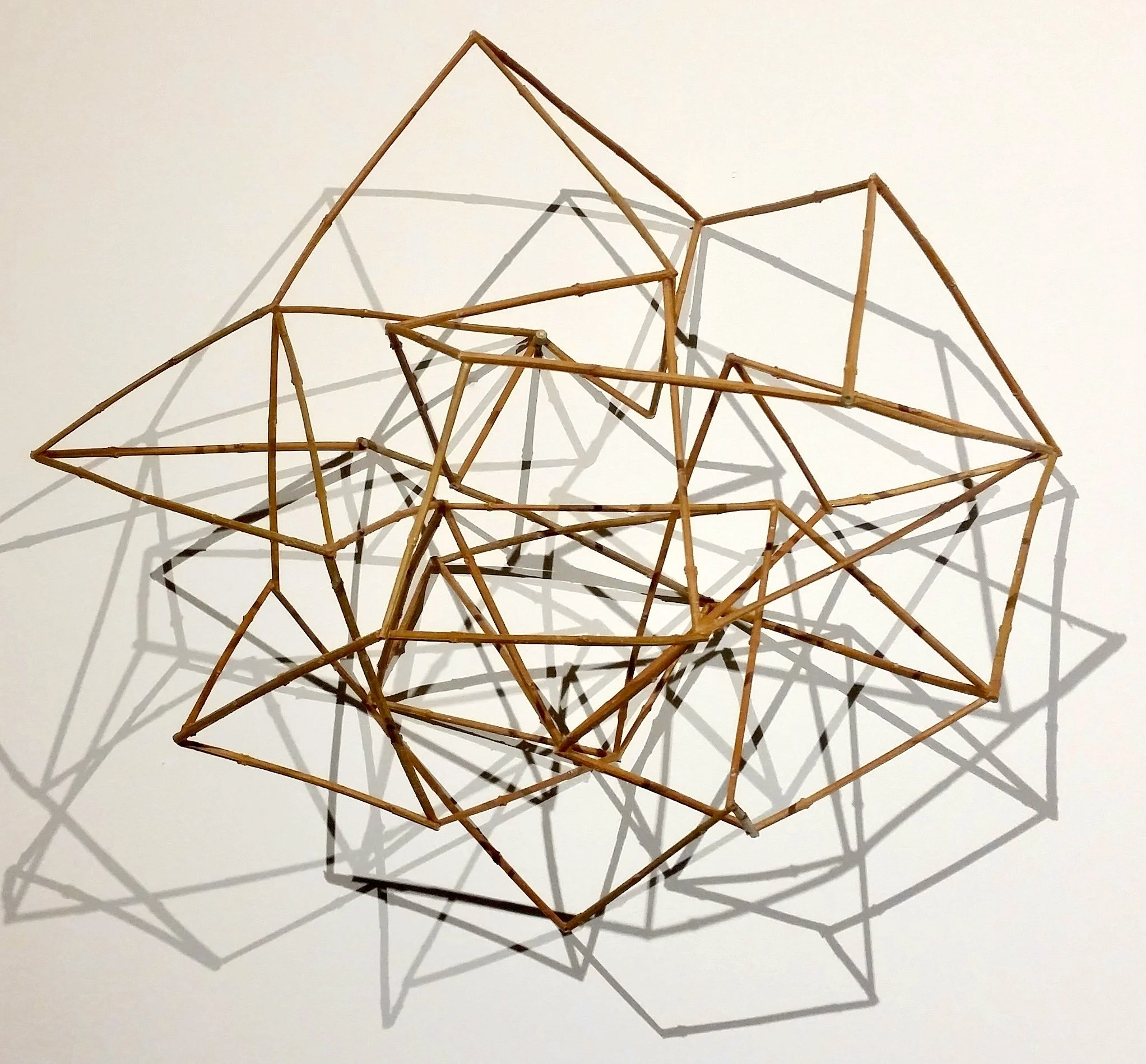 "Energy #5," Forsythia