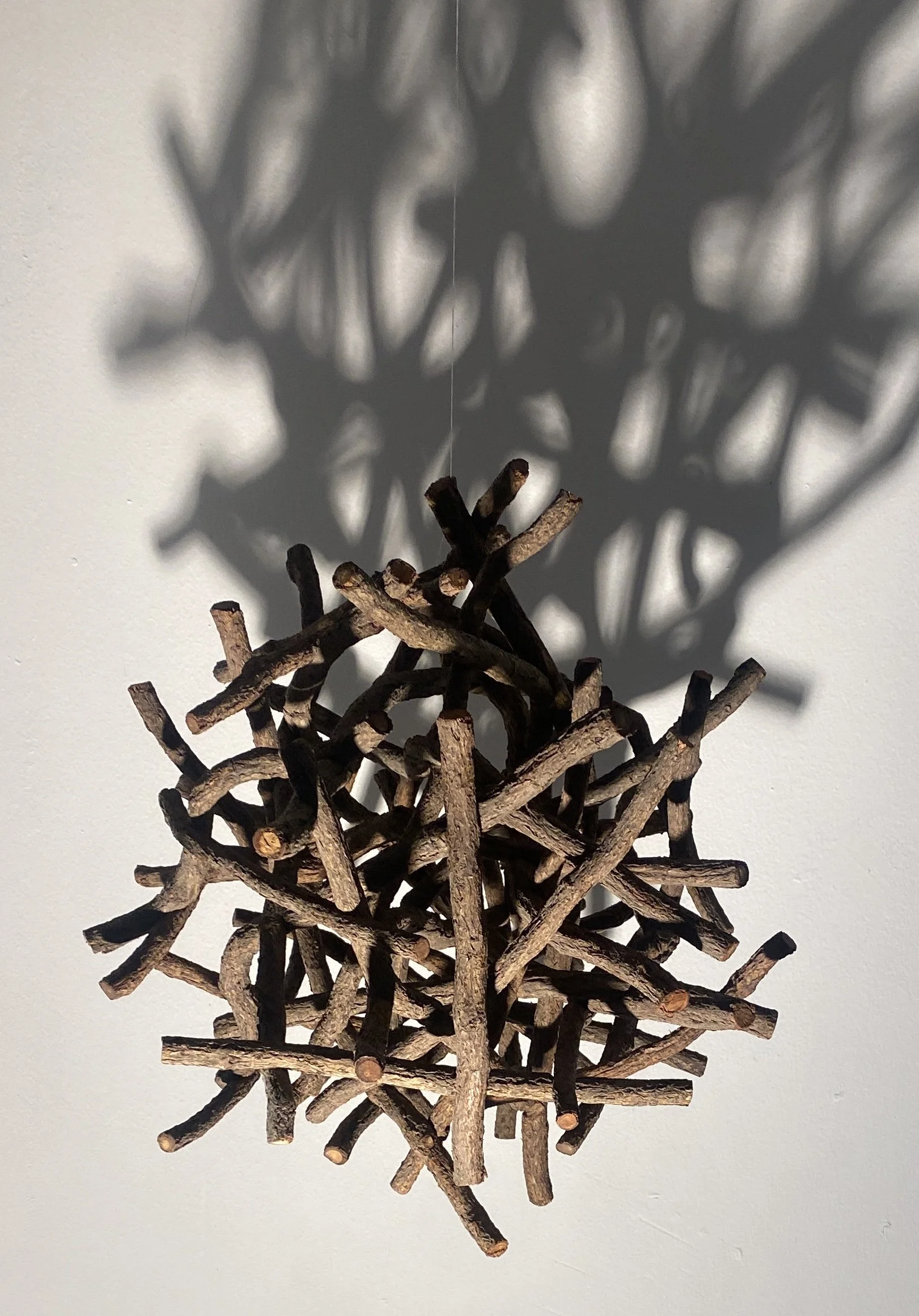 "Cluster #4," Found vines