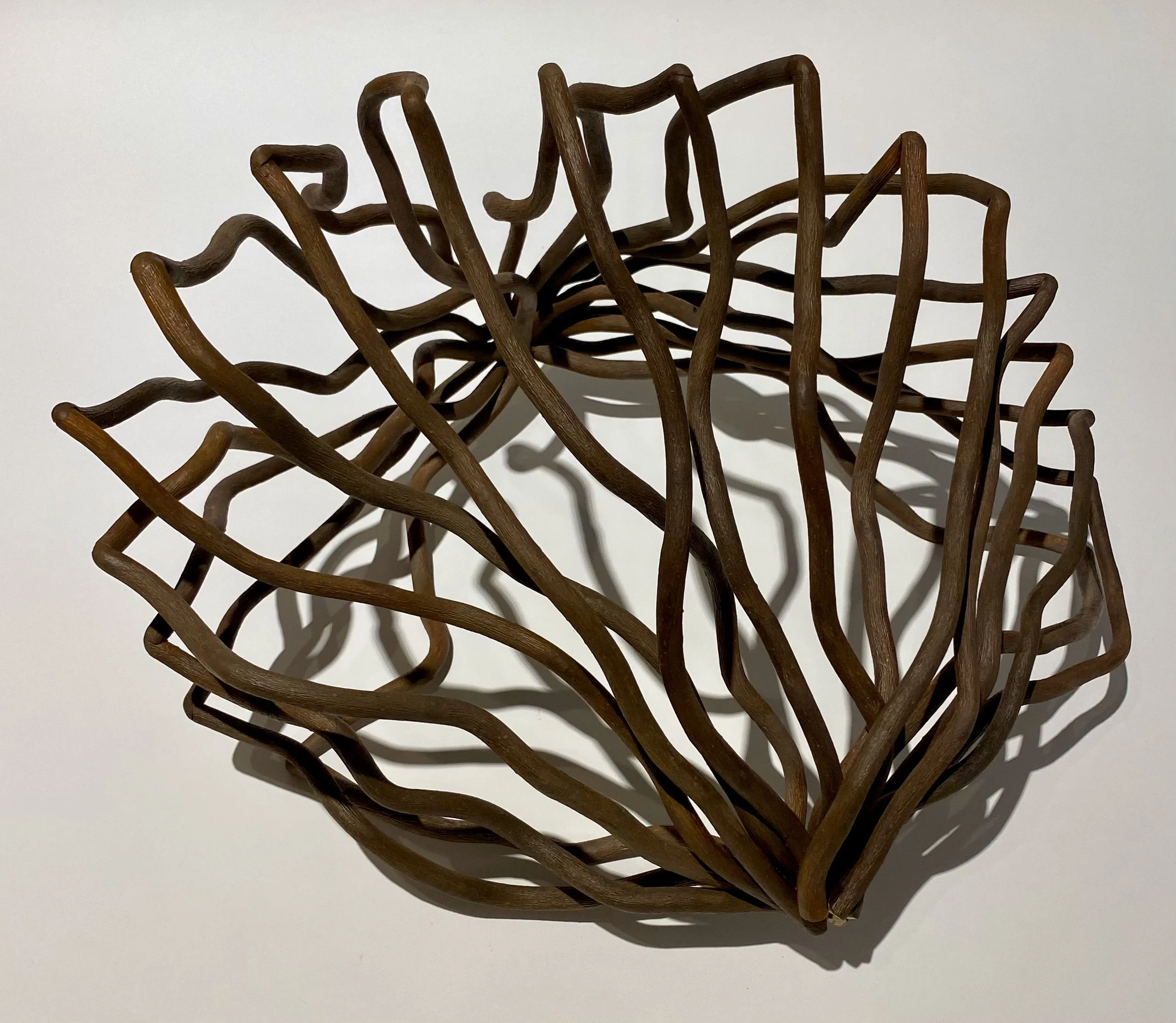 "Reaching #2," Curly Willow