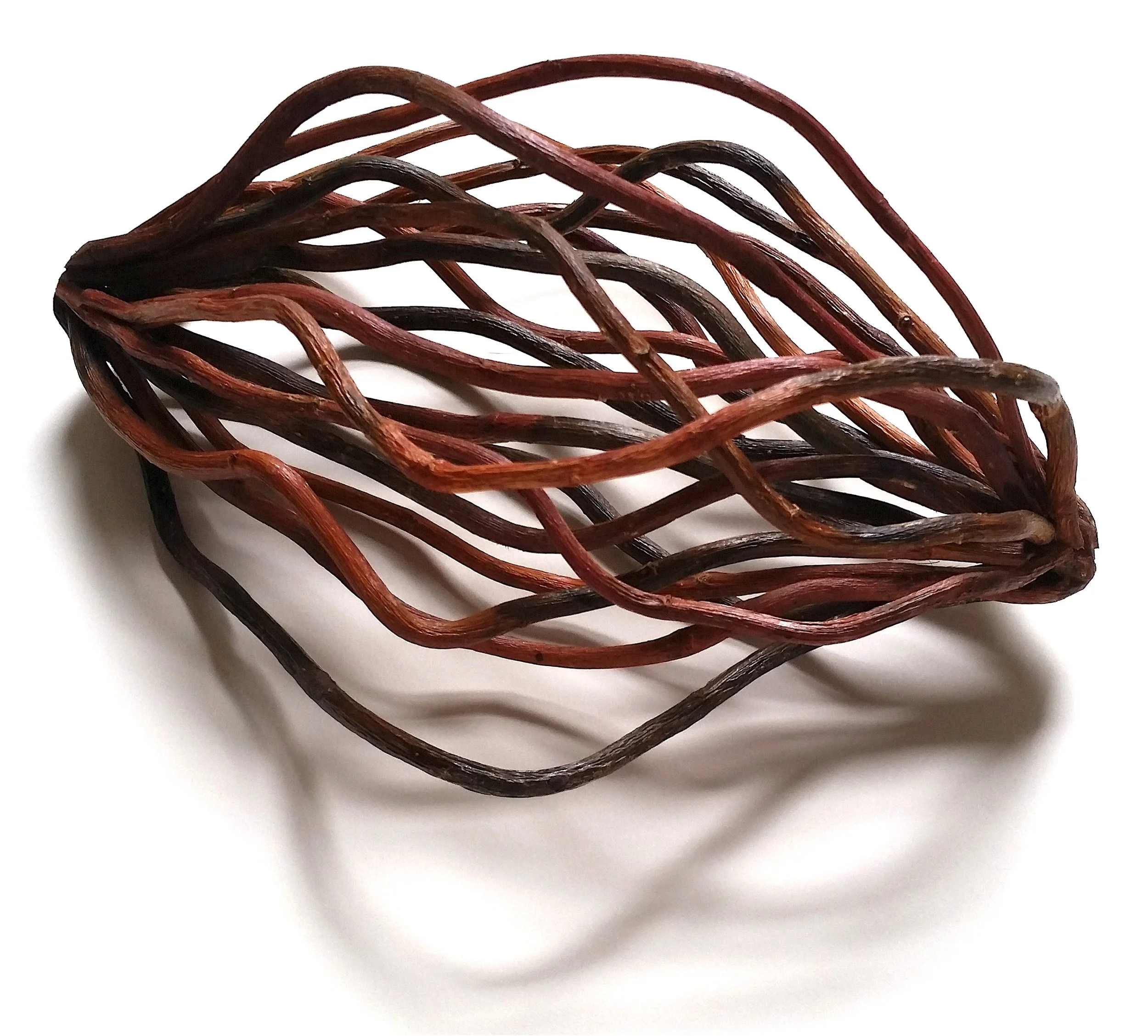 "Pod #2," Curly Willow