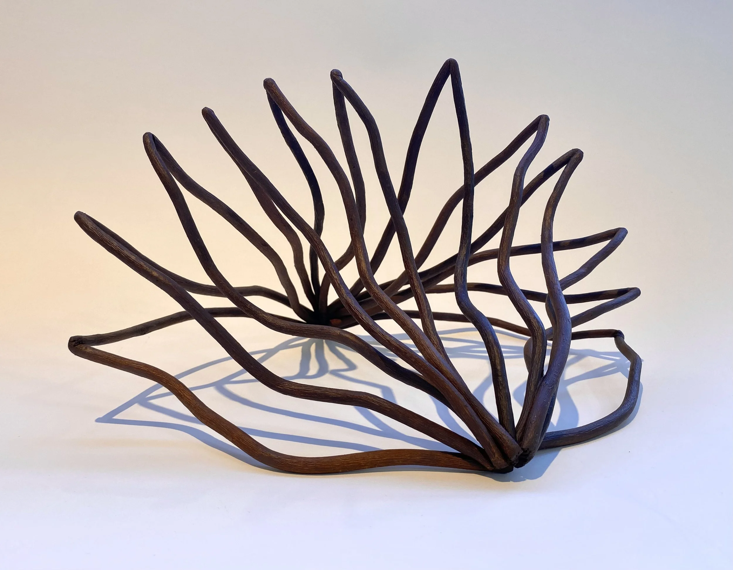 "Reaching," Curly Willow