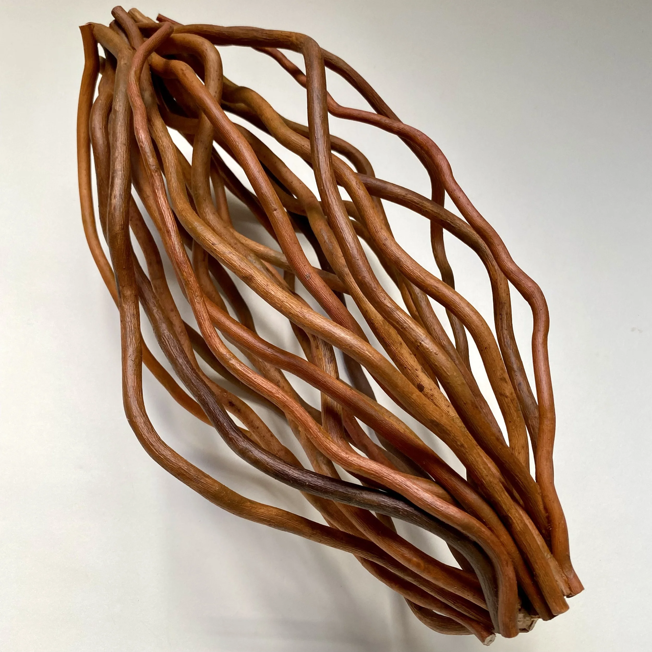 "Union," Curly Willow