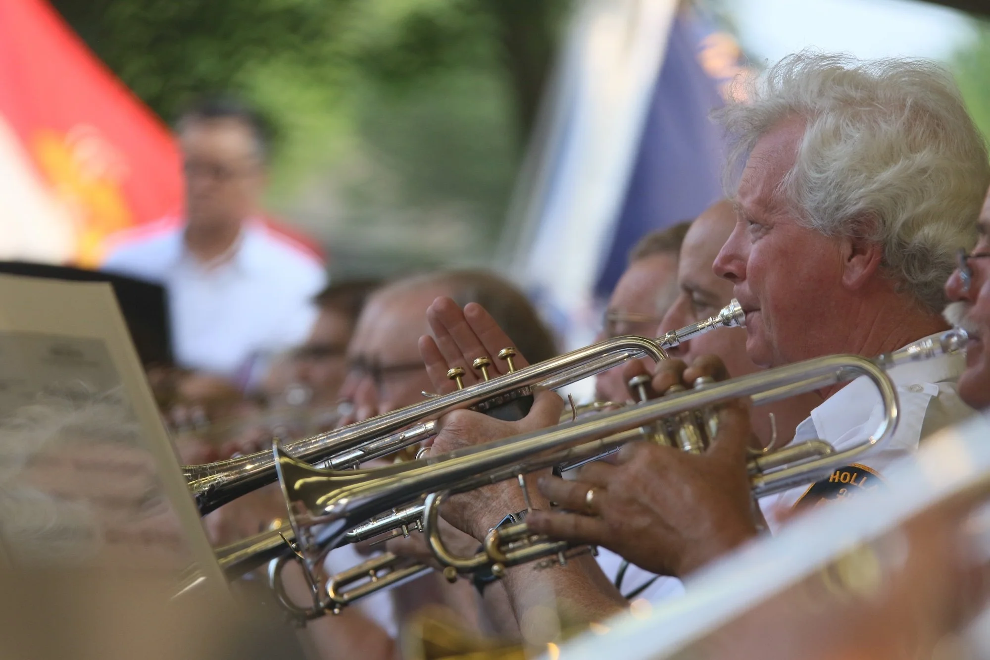 Concert in the Park