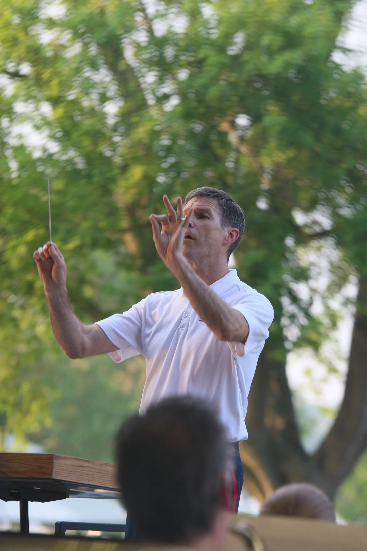 Concert in the Park