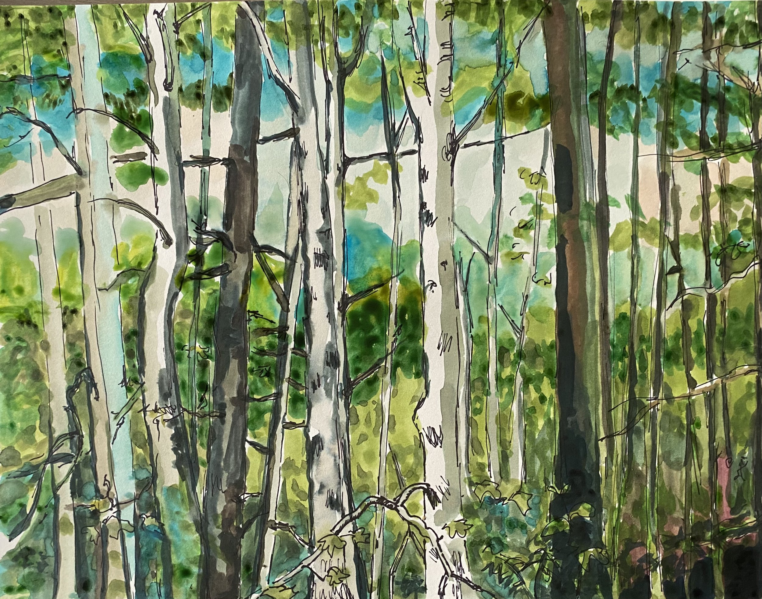 through the trees, watercolor on paper, 9"x 12", 2021

All images © 2026 Adele Drake