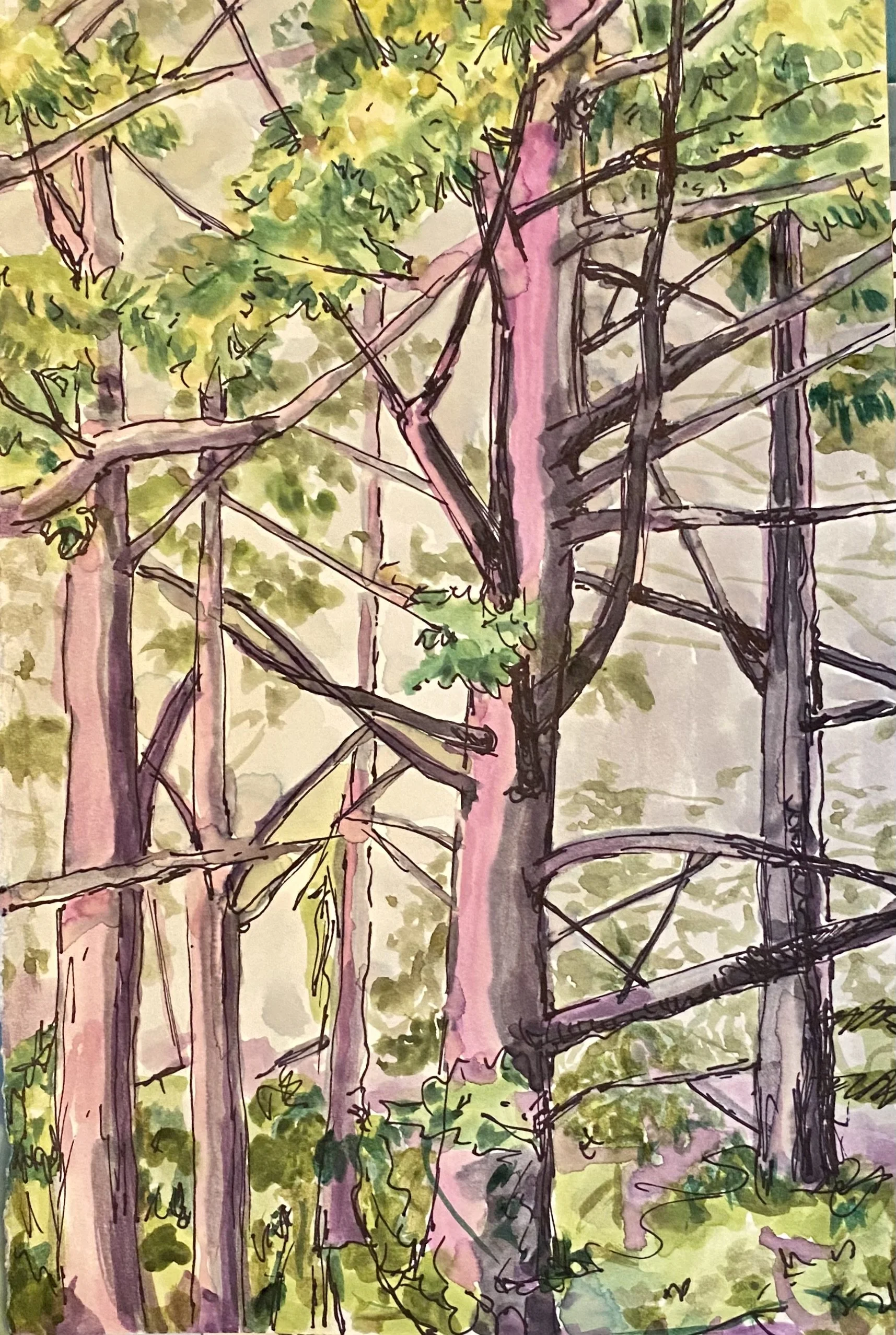 evening light, watercolor on paper, 9"x 12", 2021

All images © 2026 Adele Drake