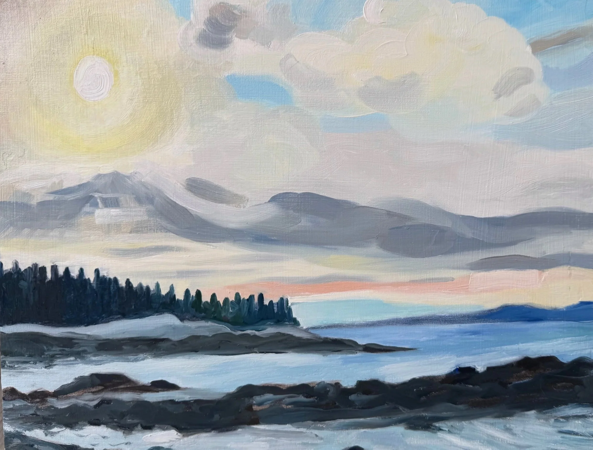 Schoodic Point, oil on board, 11" x 14", 2025





All images © 2026 Adele Drake 
