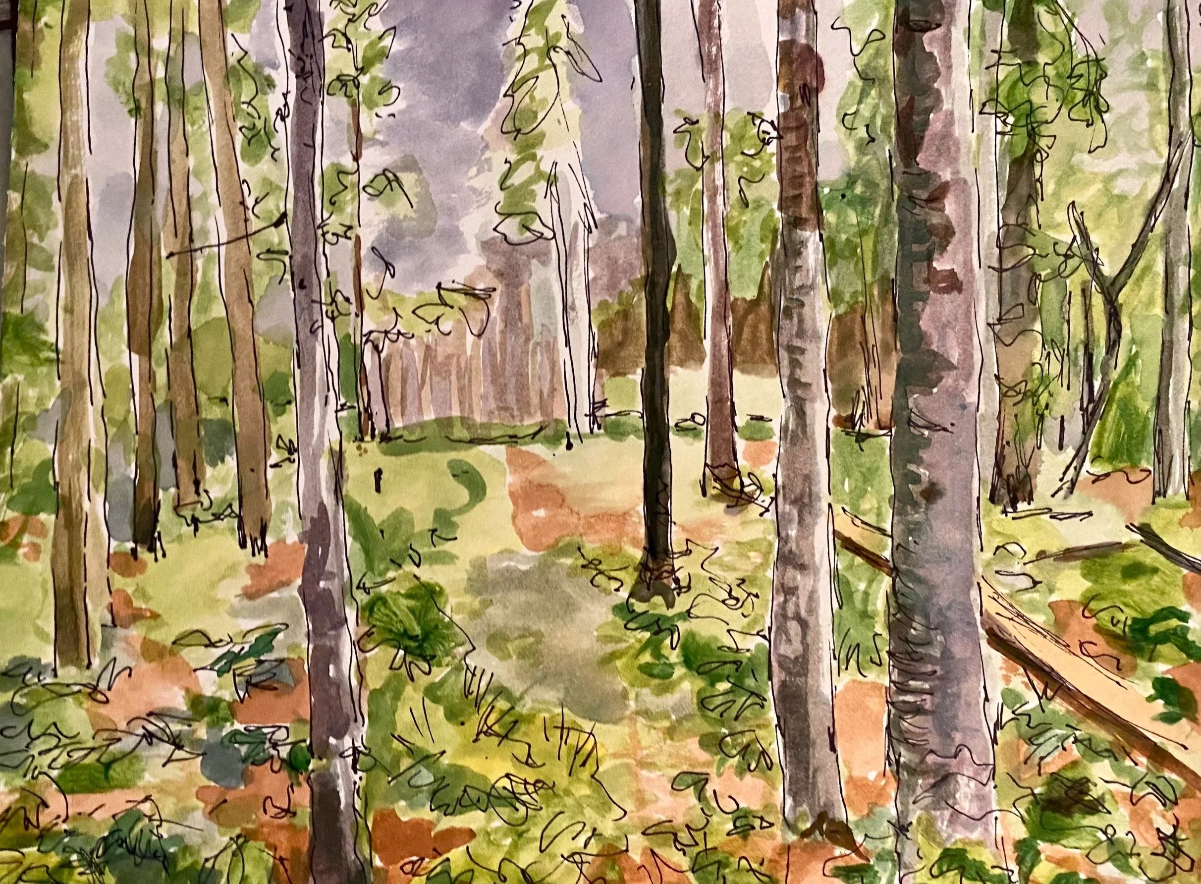 Walk in the Woods, watercolor on paper, 9"x 12", 2021

All images © 2026 Adele Drake