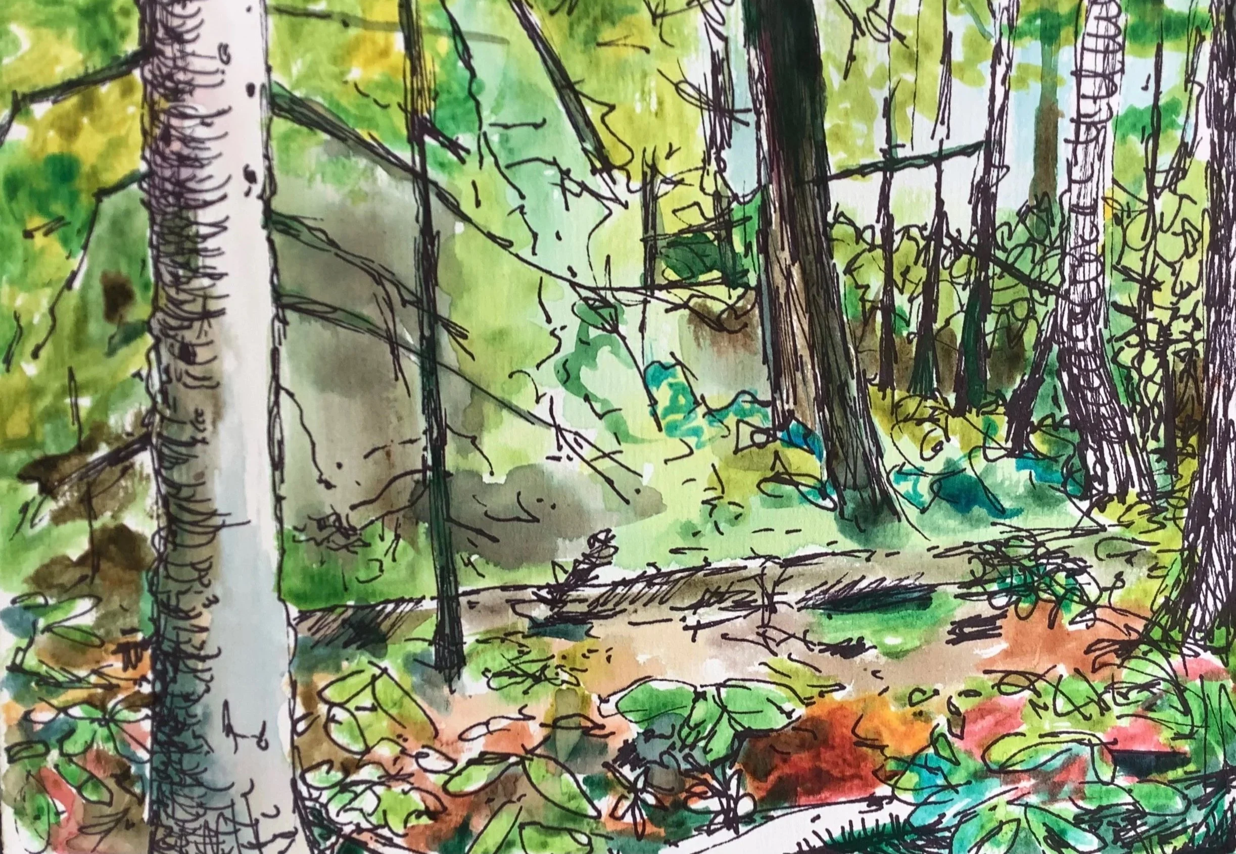 Walk in the Woods, watercolor on paper, 9"x 12", 2021


All images © 2026 Adele Drake