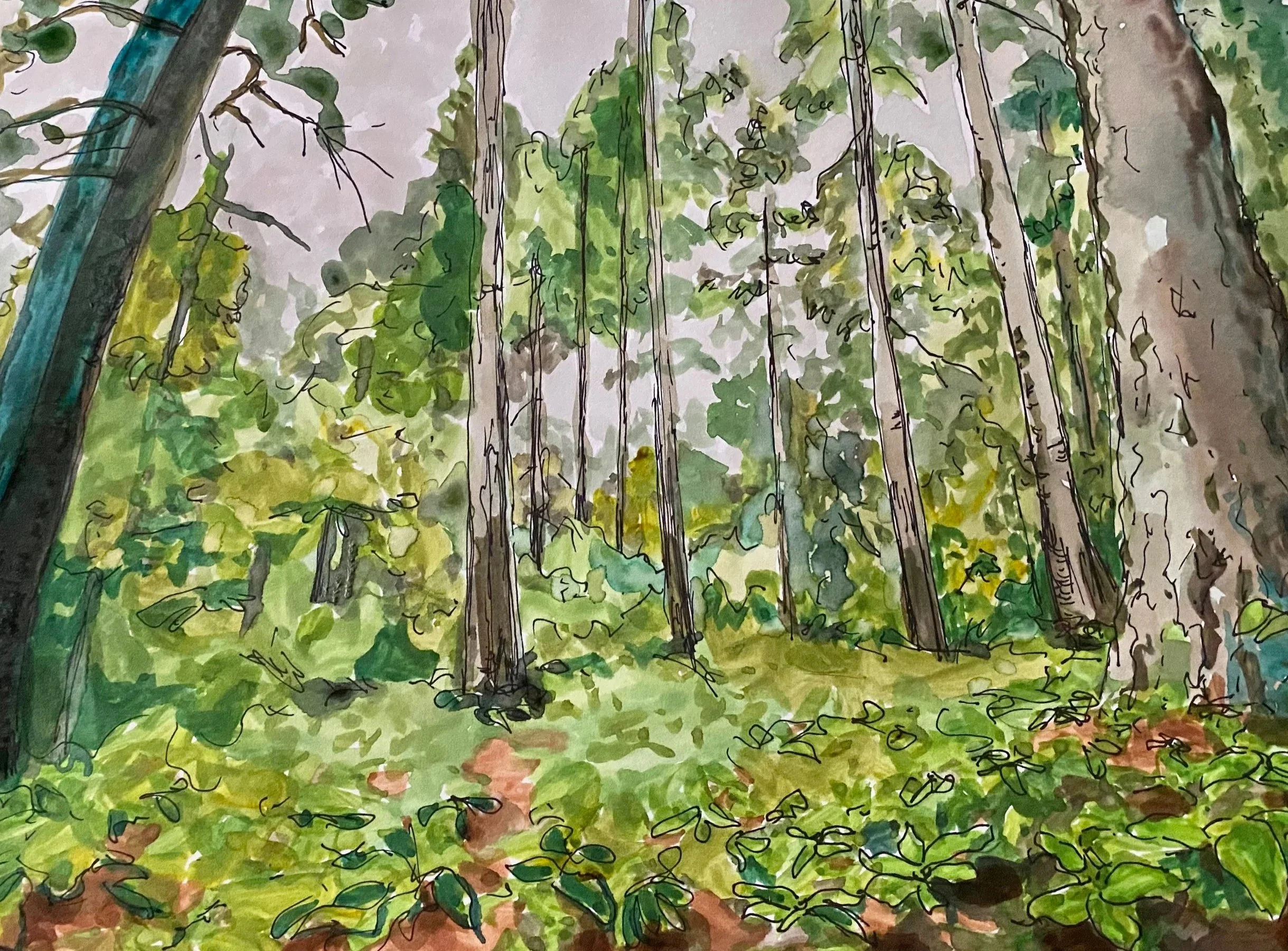 Surrounded, watercolor on paper, 11"x 14", 2021



All images © 2026 Adele Drake