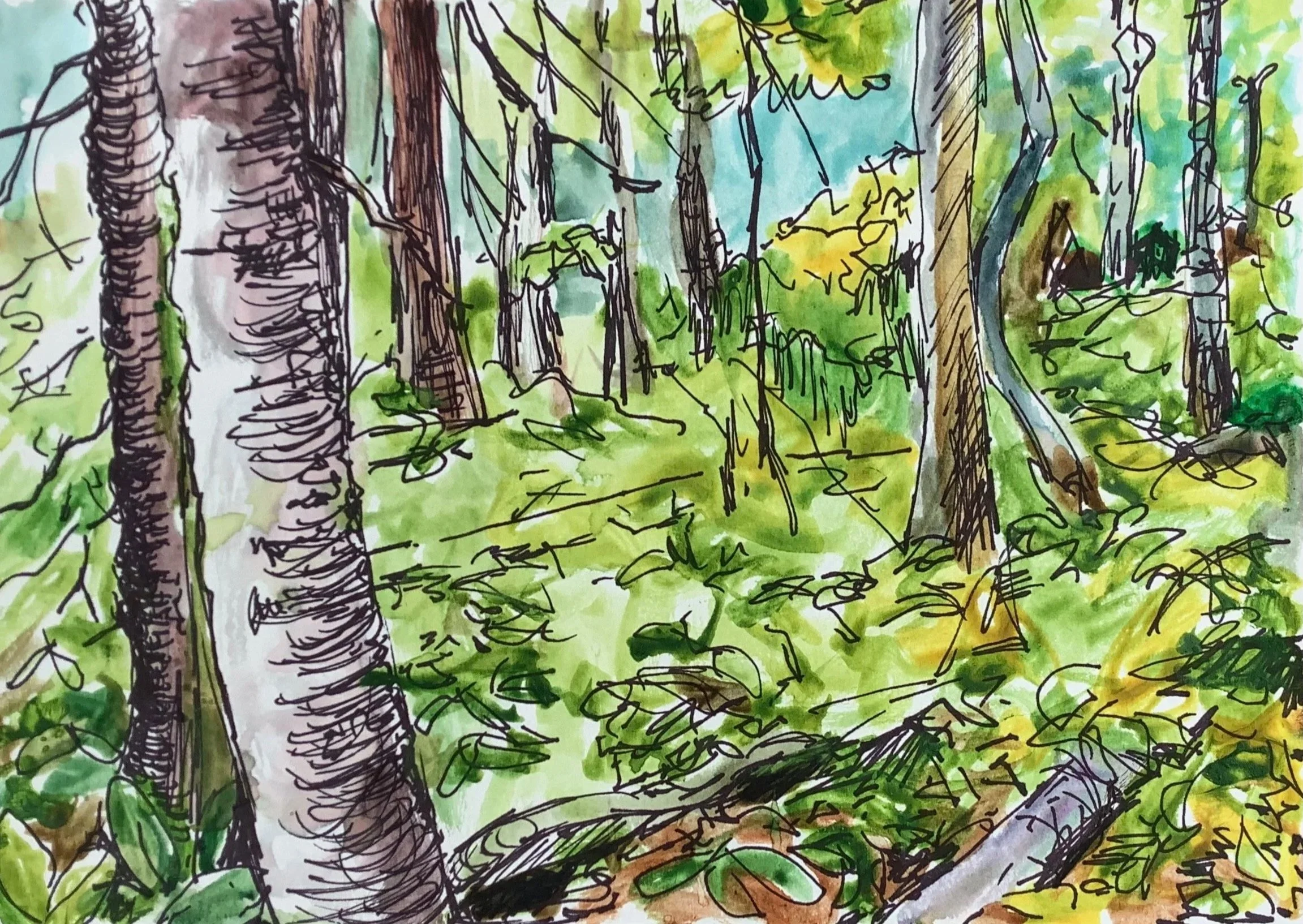 The way in the woods, watercolor on paper, 9"x 12", 2021

All images © 2026 Adele Drake