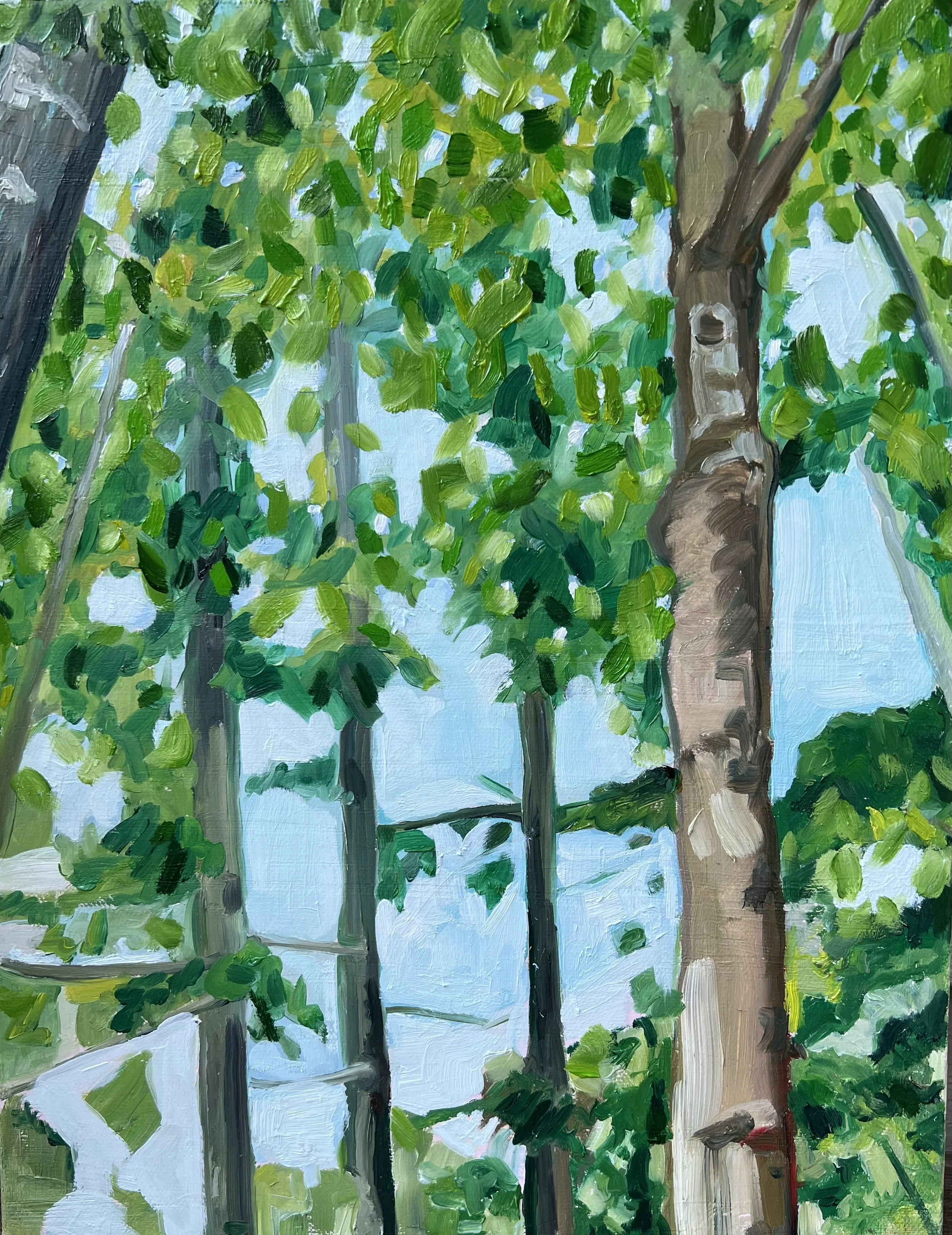 Sound of Trees 2, oil on board, 11" x 14" 2022

All images © 2026 Adele Drake